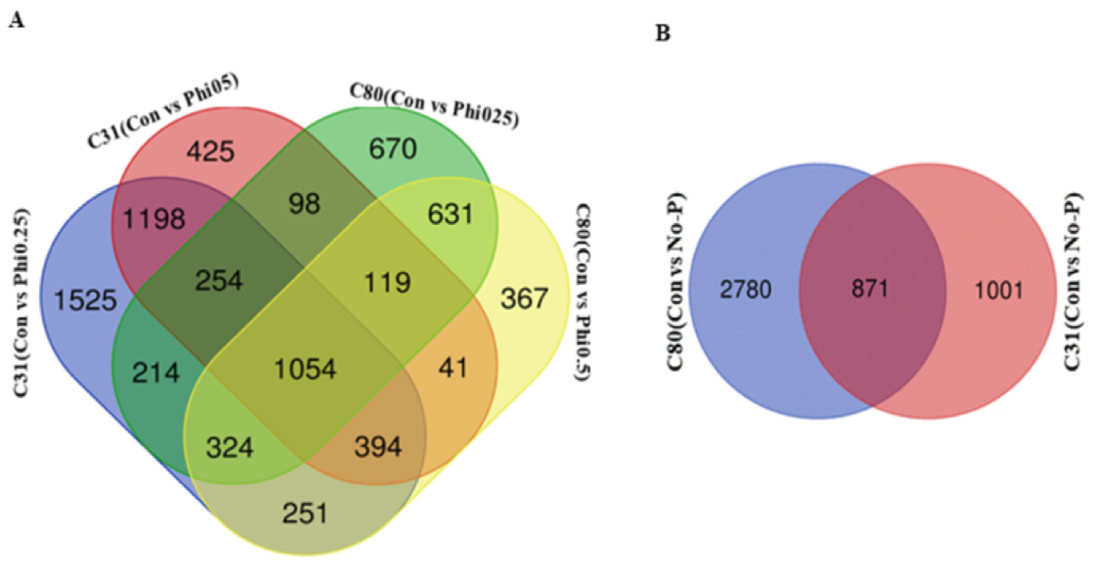 Genes 13 01379 g007 Genes 13 01379 g007