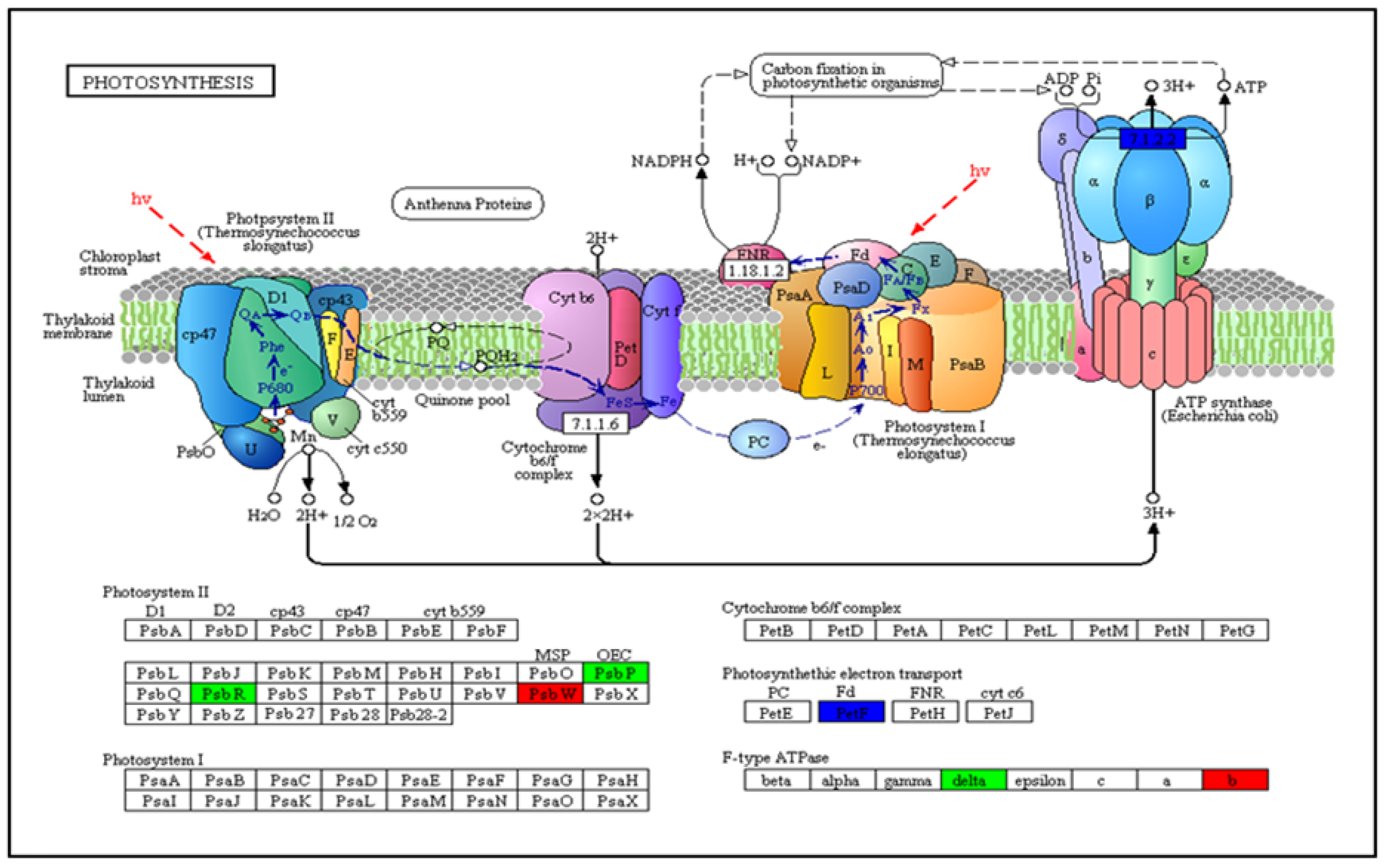 Genes 13 01379 g009 Genes 13 01379 g009