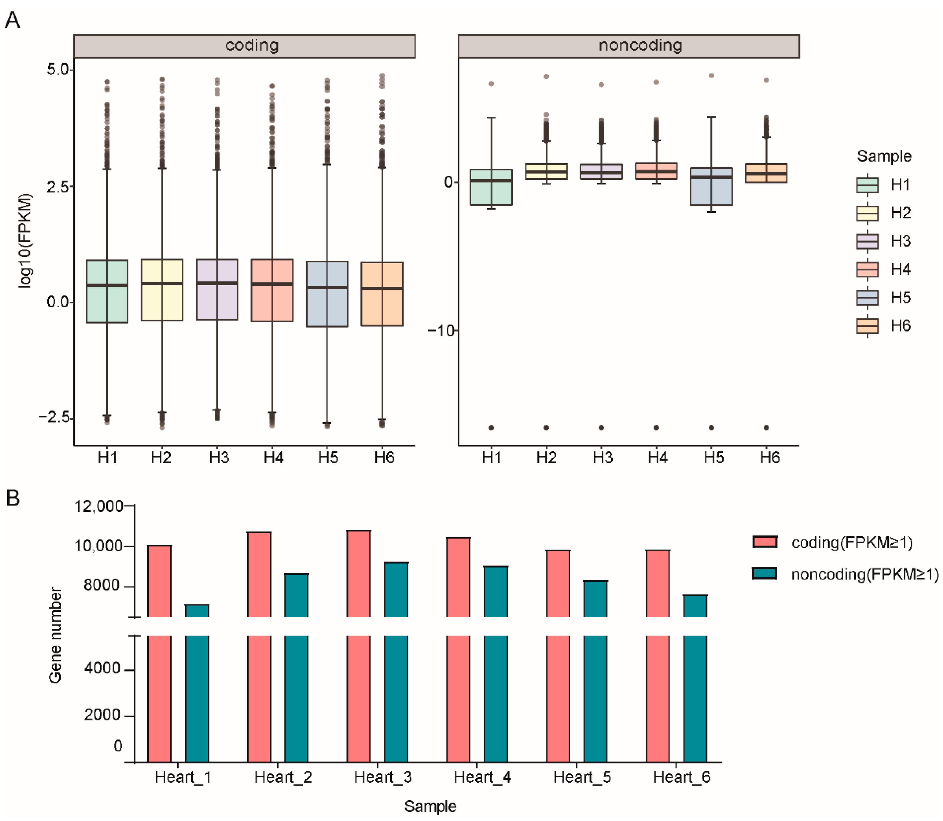 Genes 13 01382 g001 Genes 13 01382 g001