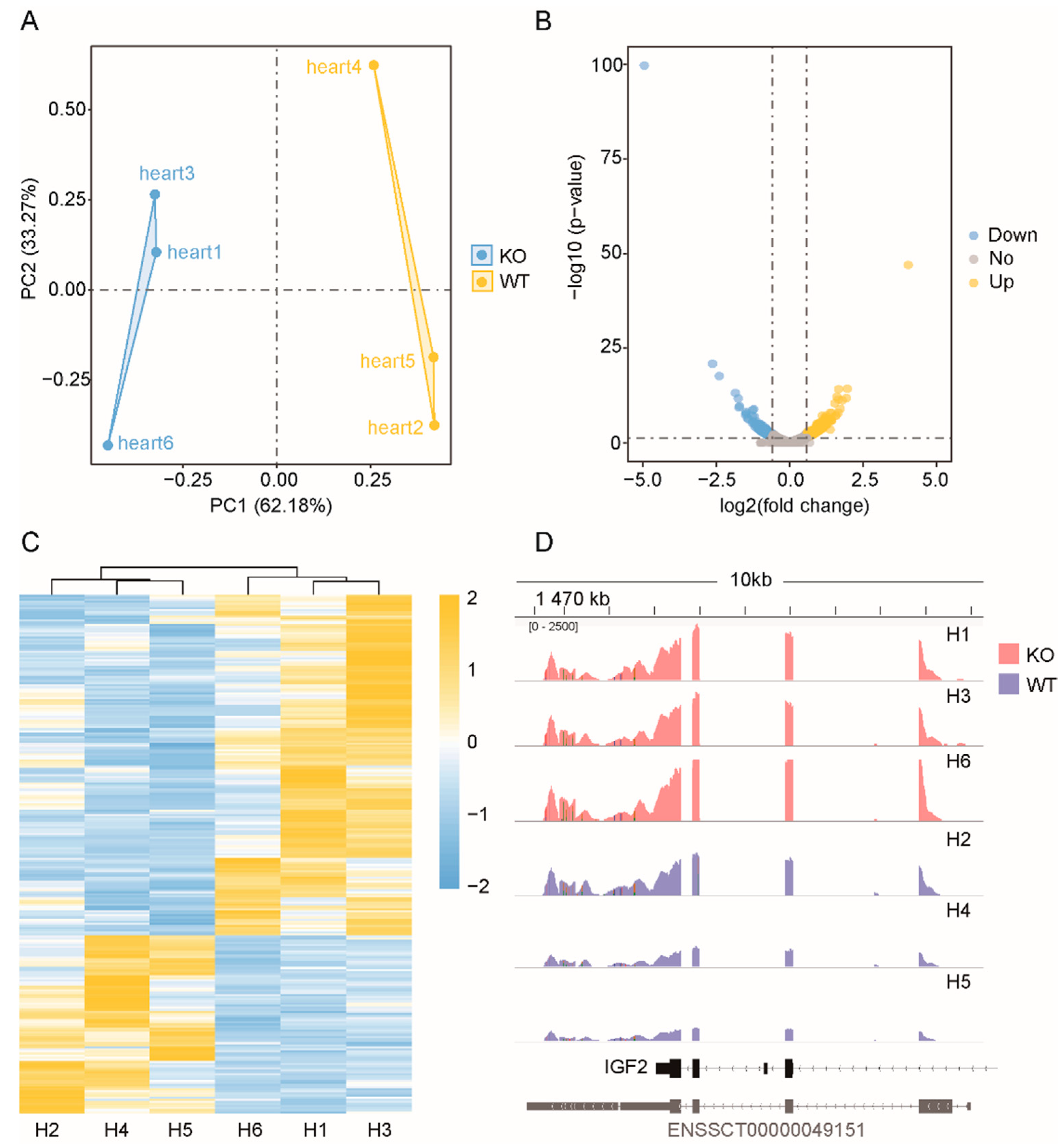 Genes 13 01382 g002 Genes 13 01382 g002