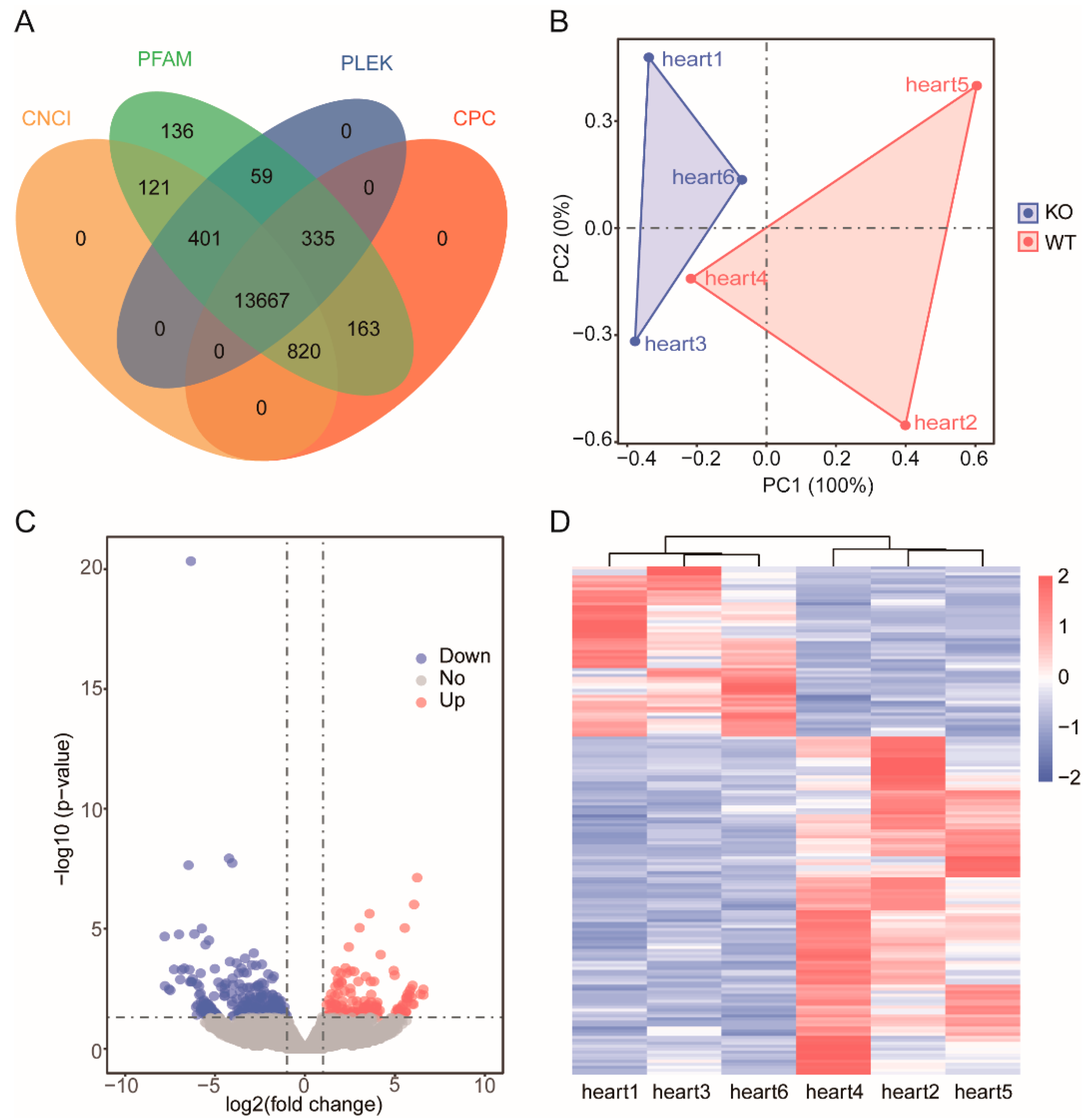 Genes 13 01382 g003 Genes 13 01382 g003