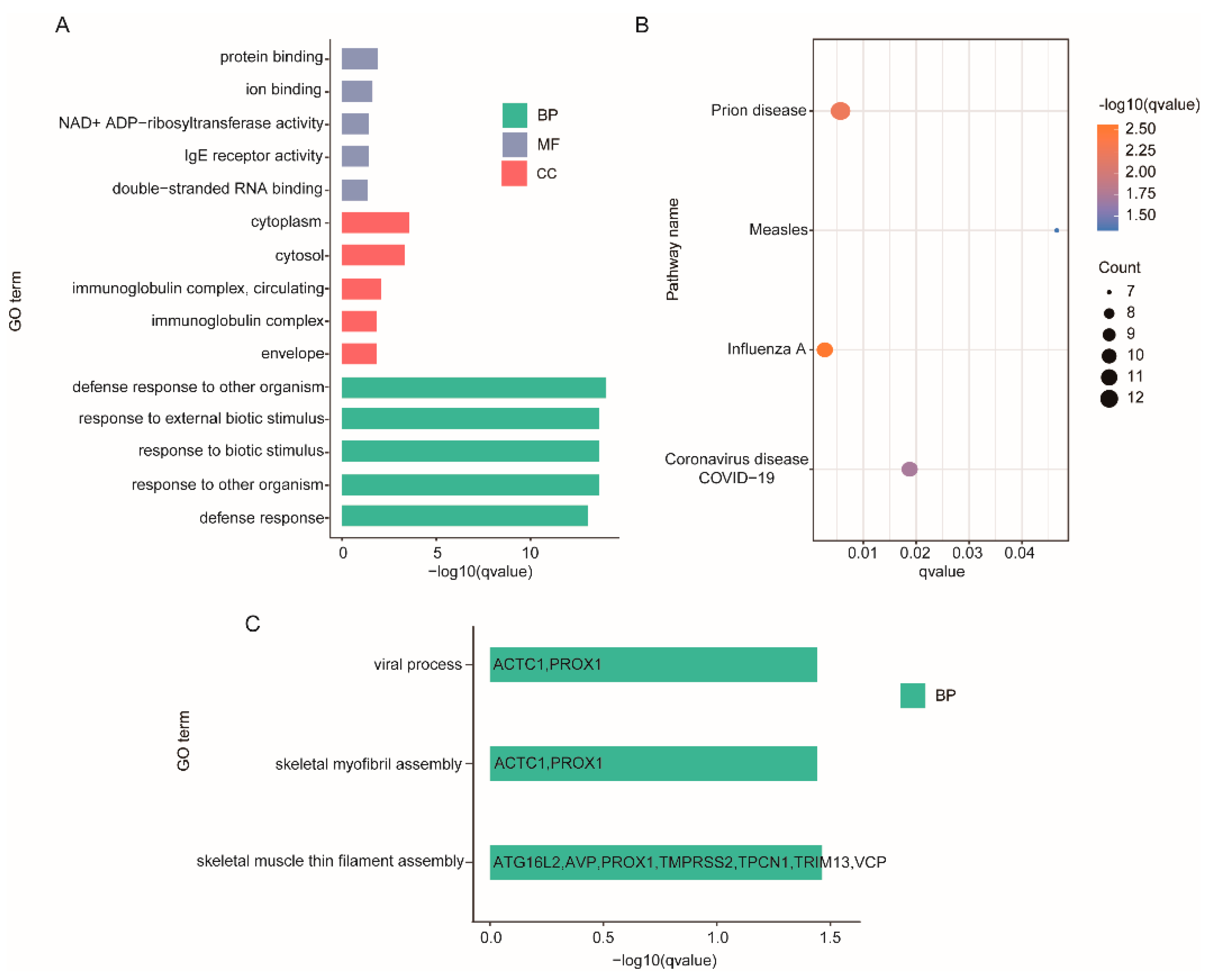 Genes 13 01382 g004 Genes 13 01382 g004
