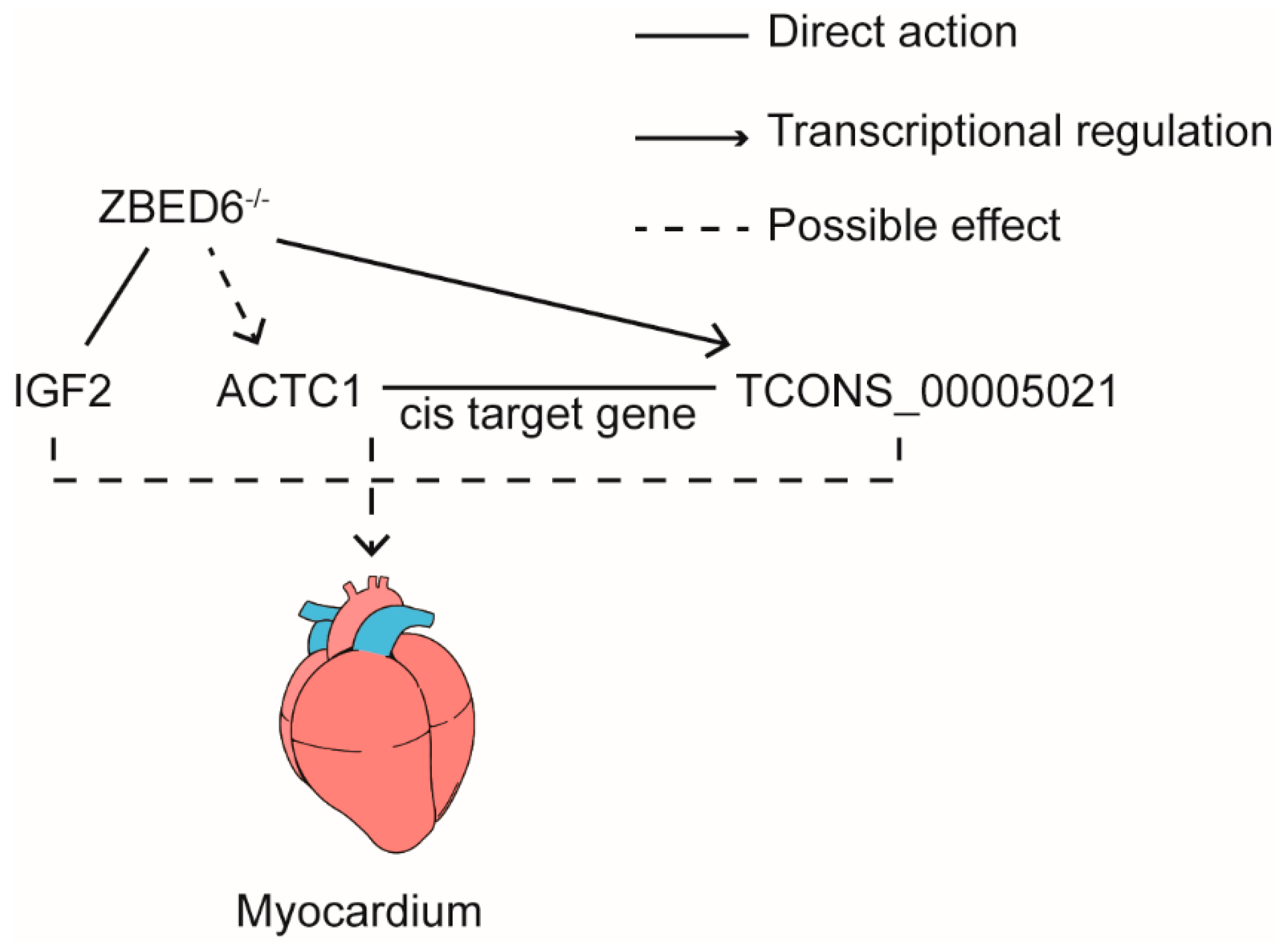 Genes 13 01382 g006 Genes 13 01382 g006