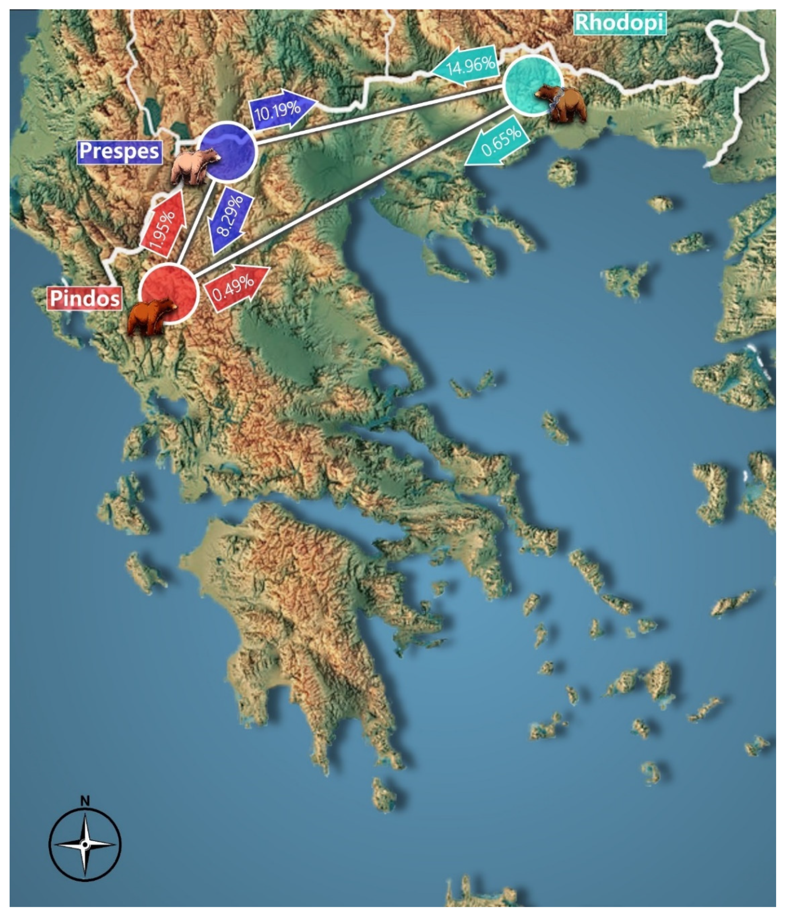 Genes 13 01388 g008 550