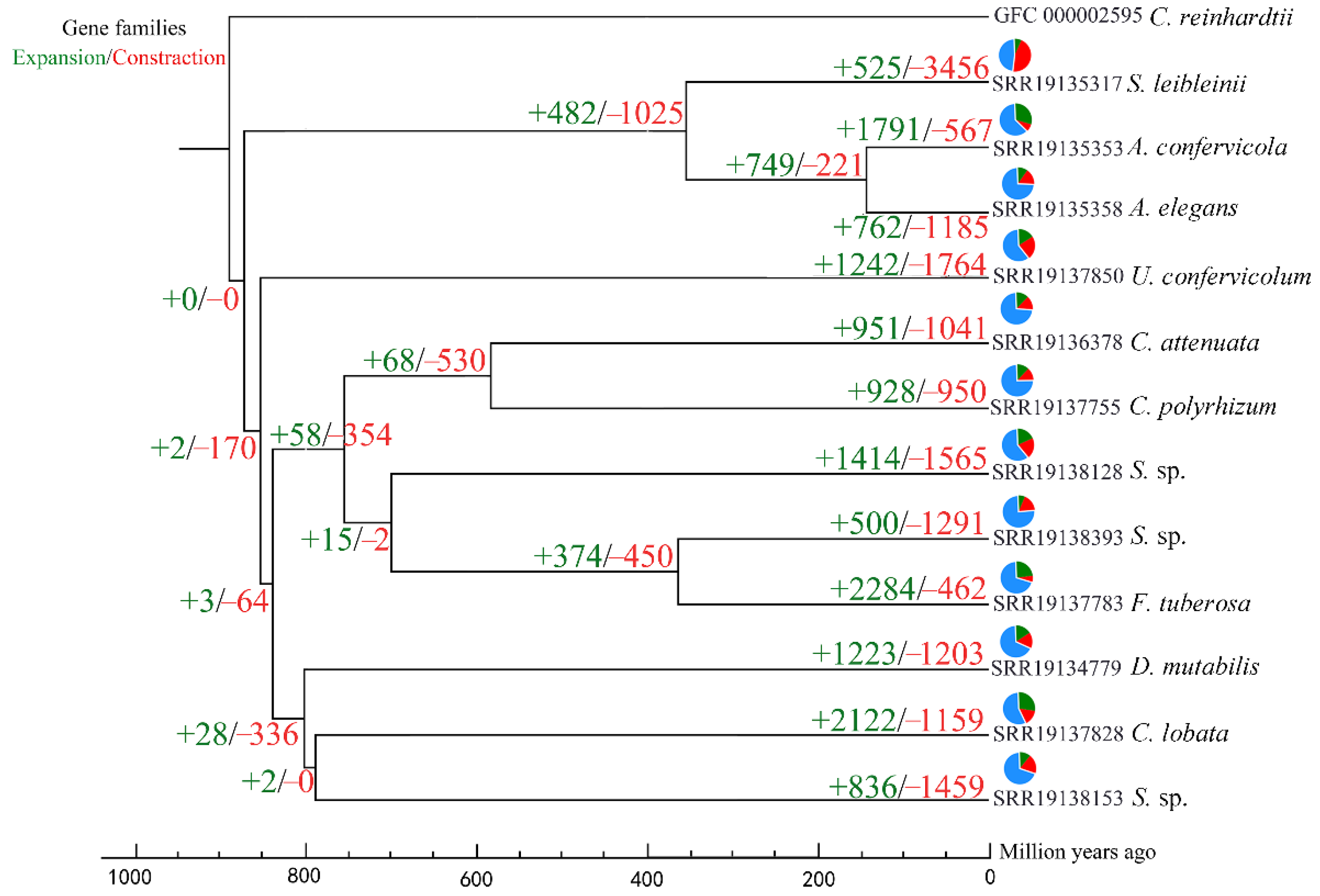 Genes 13 01389 g002 Genes 13 01389 g002