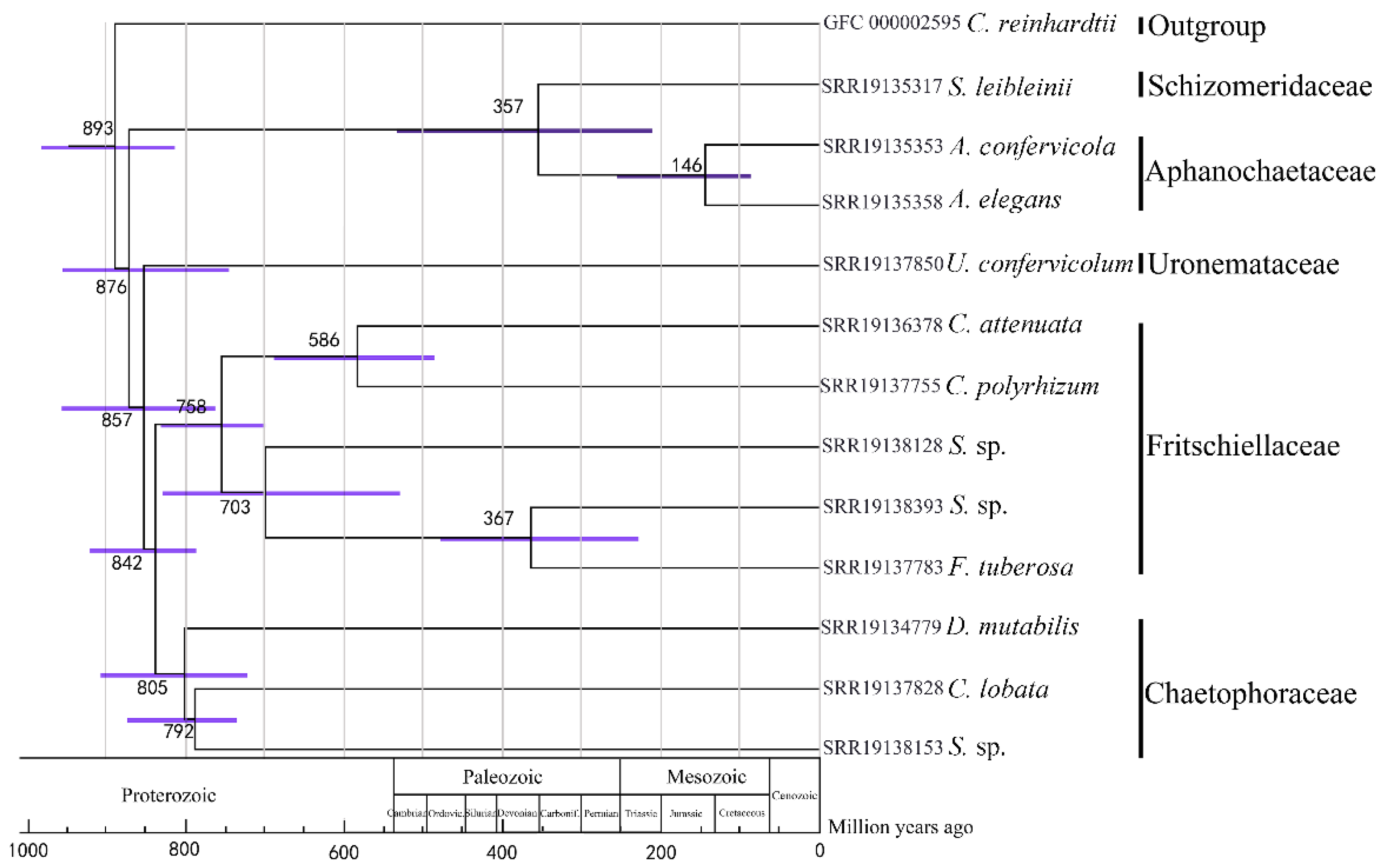 Genes 13 01389 g004 Genes 13 01389 g004