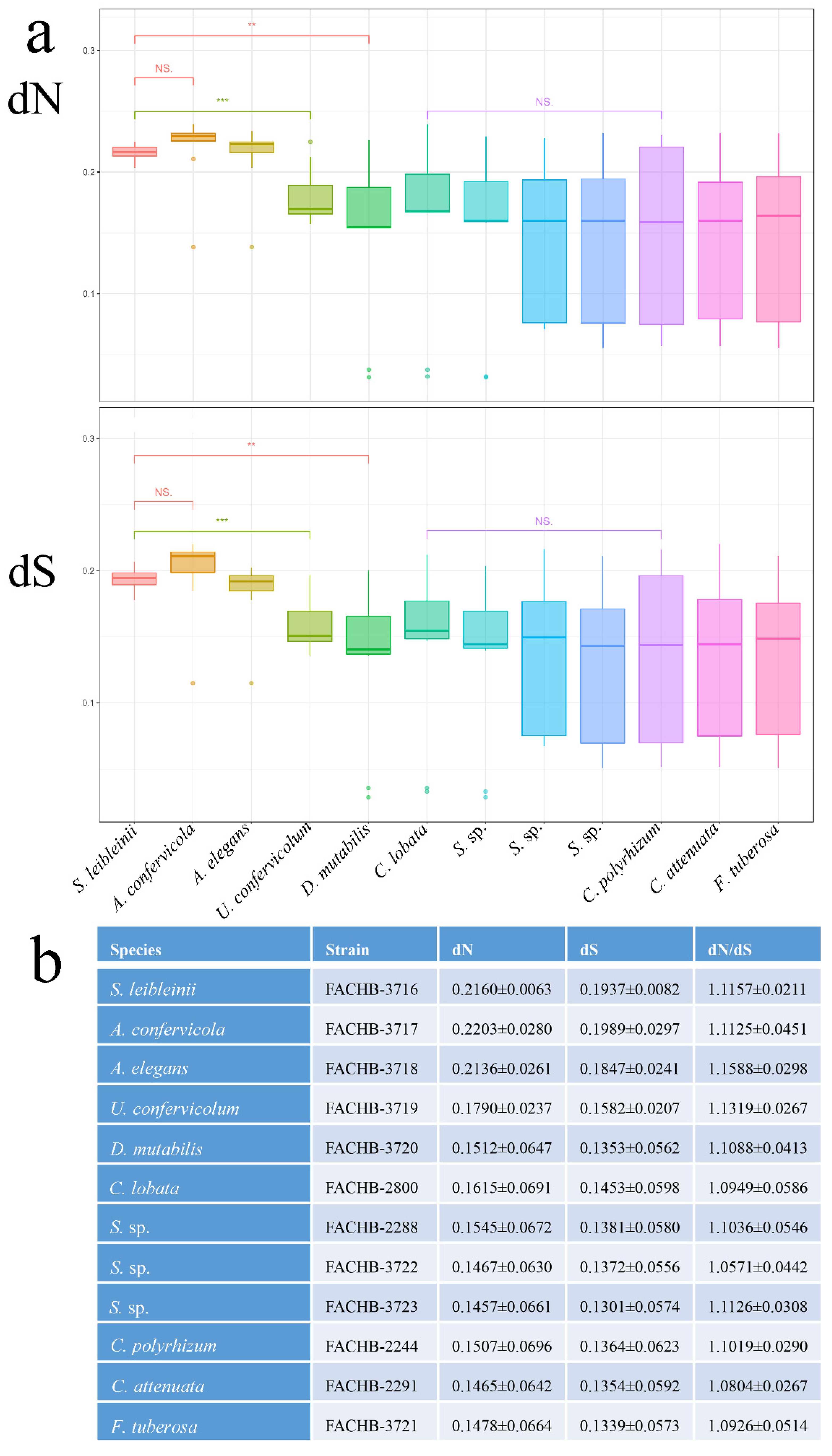 Genes 13 01389 g005 Genes 13 01389 g005