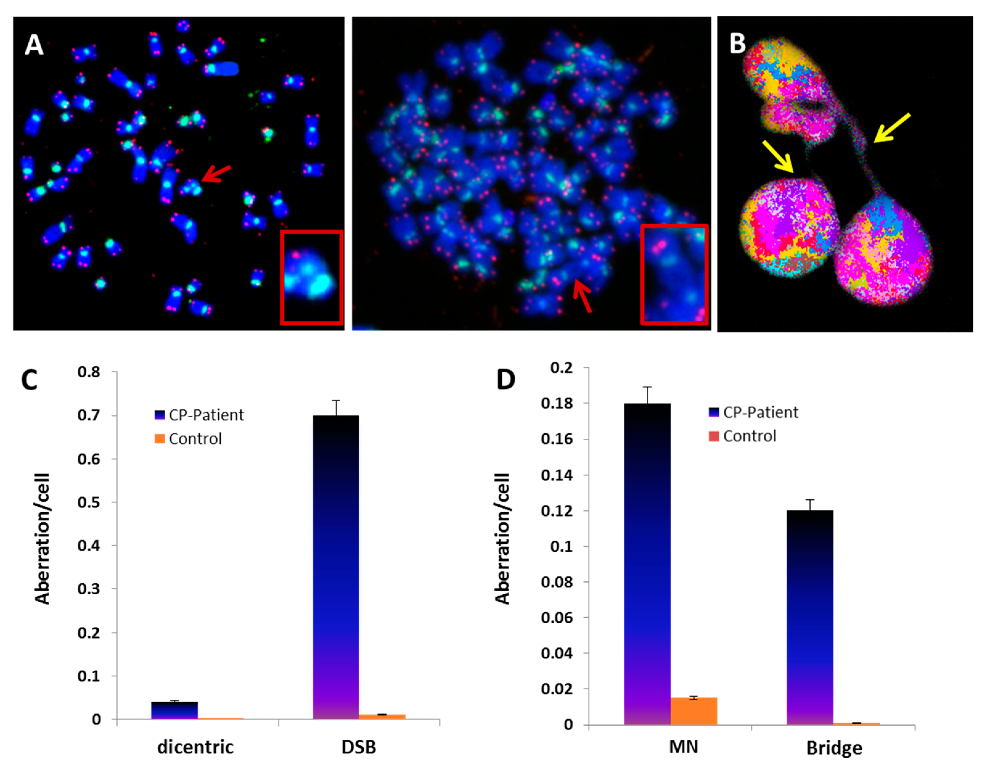 Genes 13 01395 g002 550