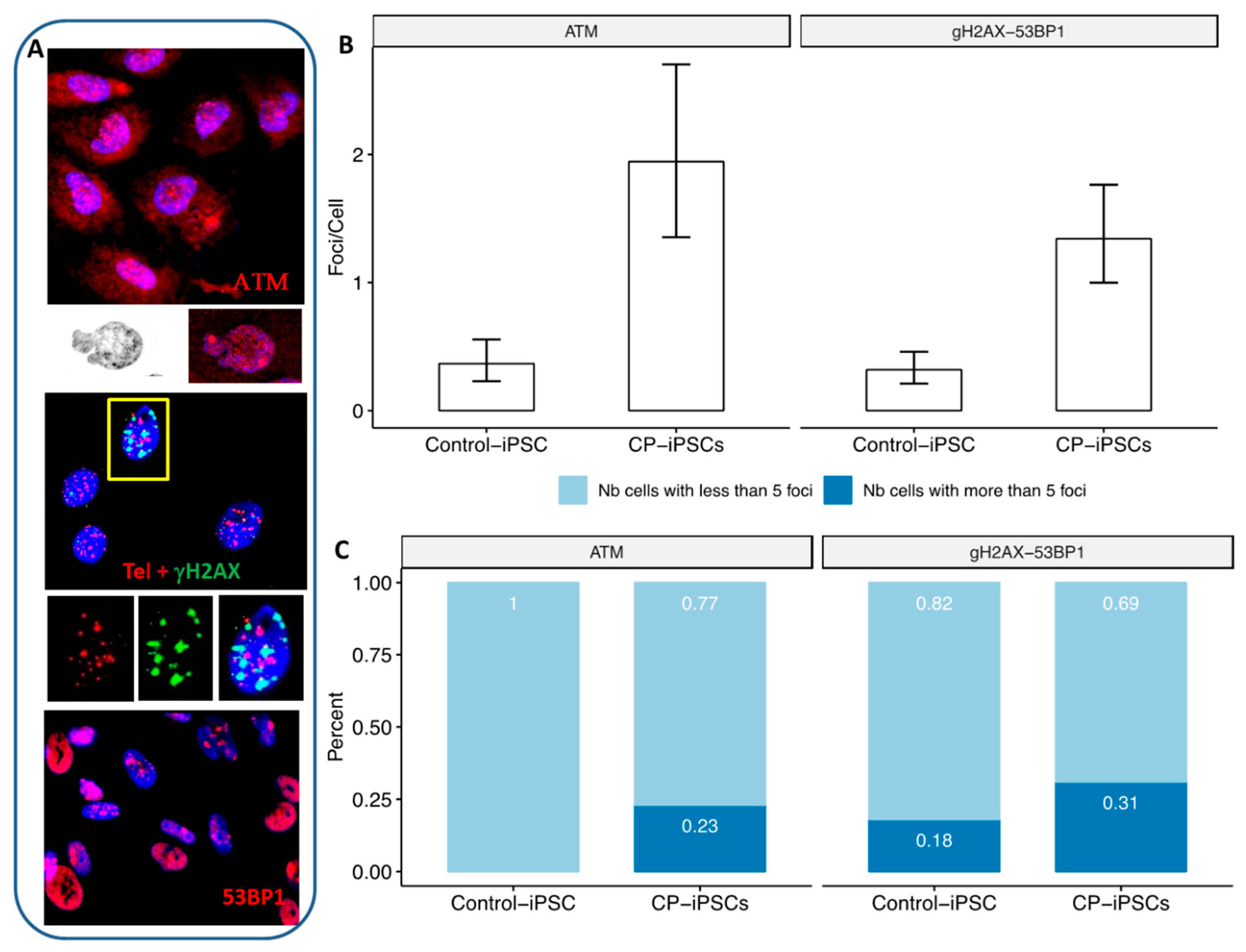 Genes 13 01395 g005 550