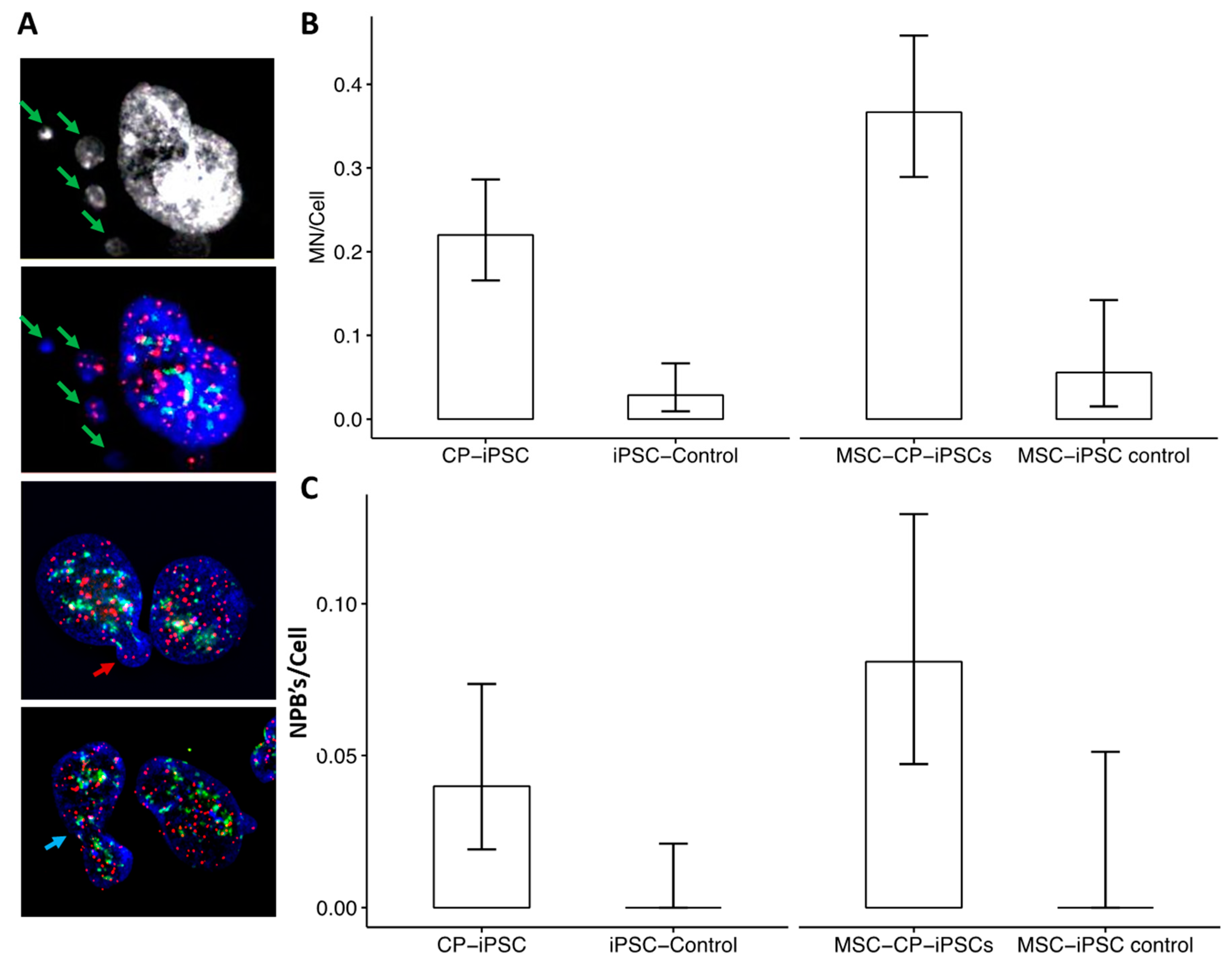 Genes 13 01395 g006 550