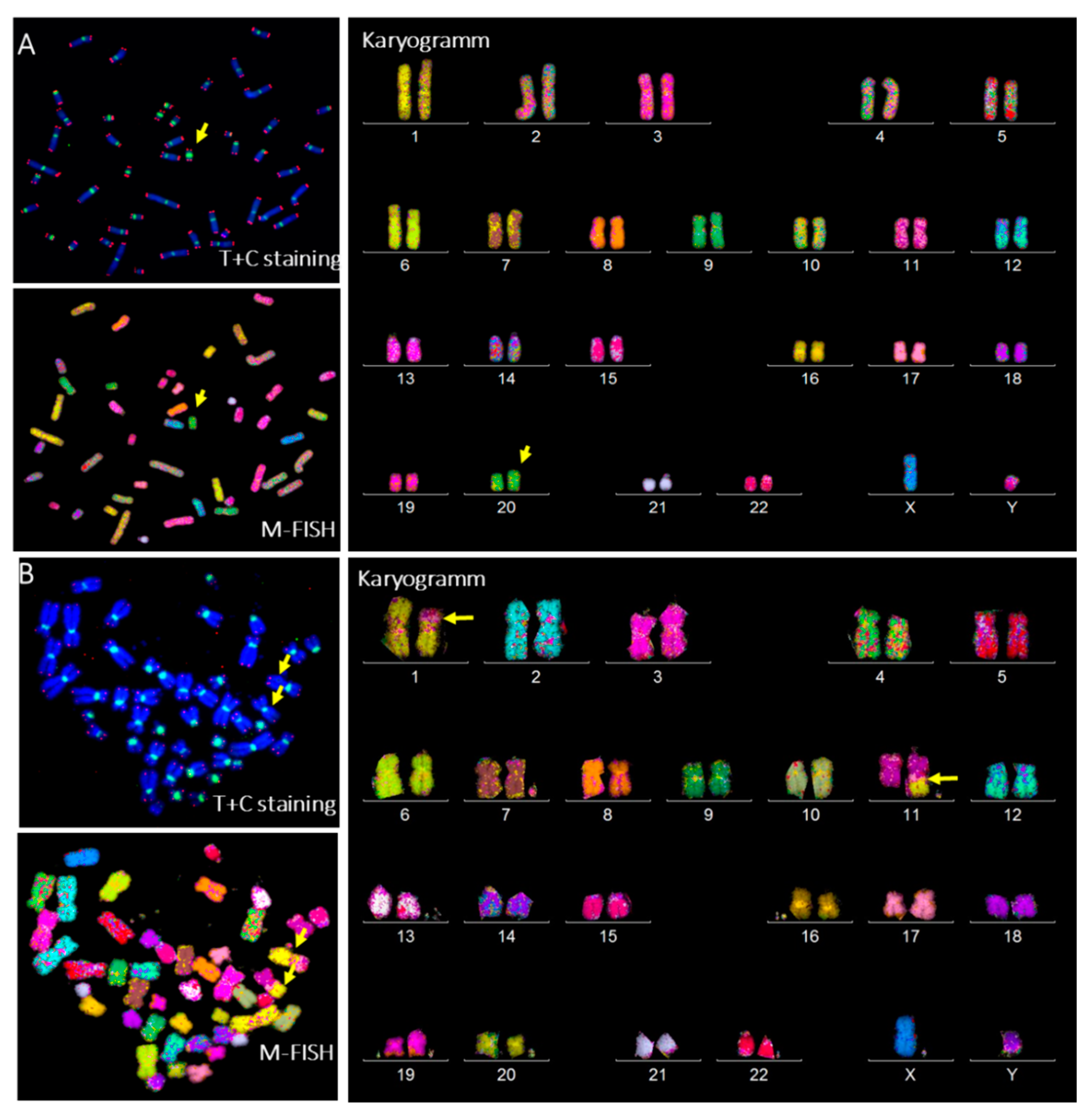 Genes 13 01395 g009 550