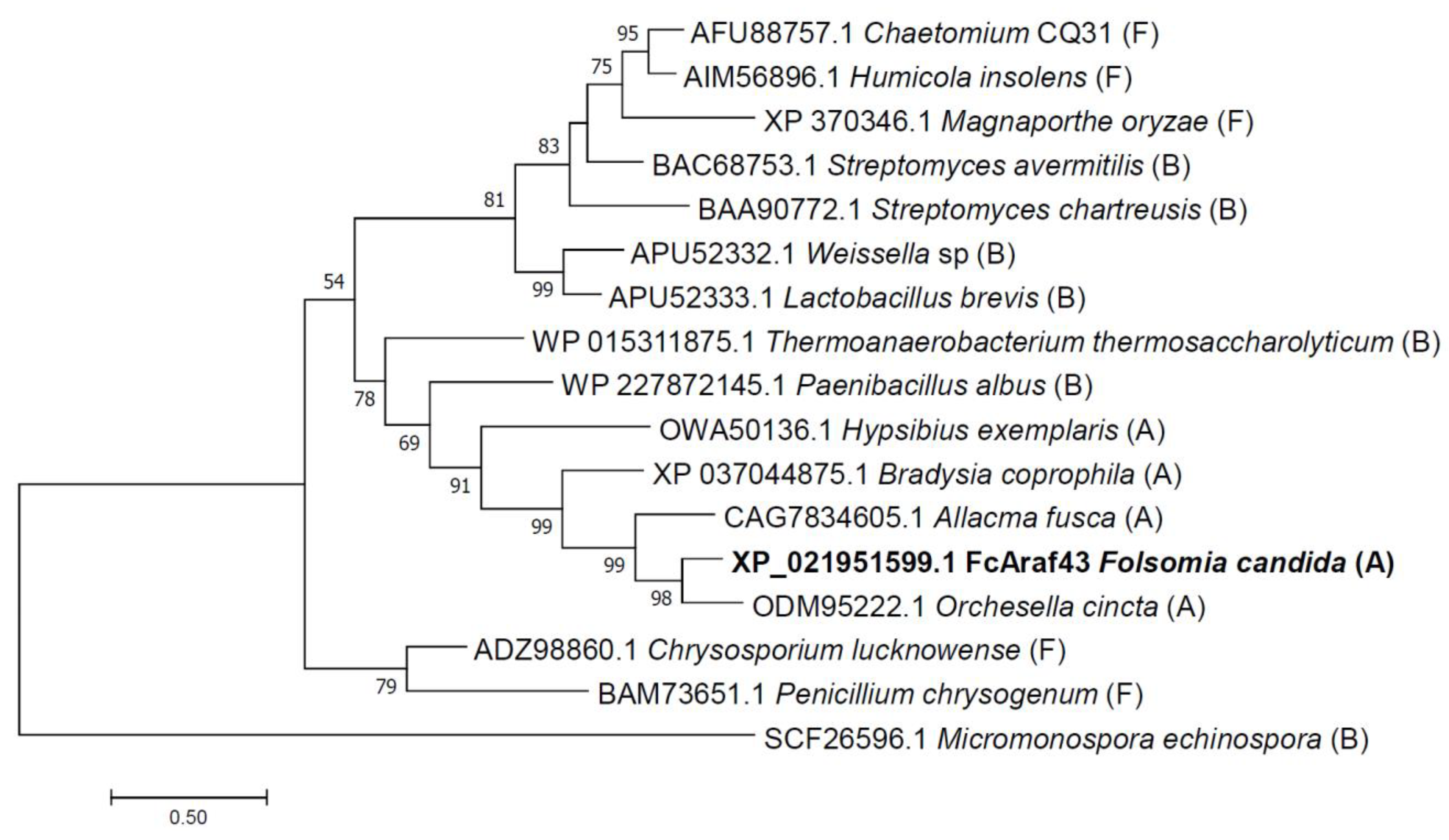 Genes 13 01402 g002 550