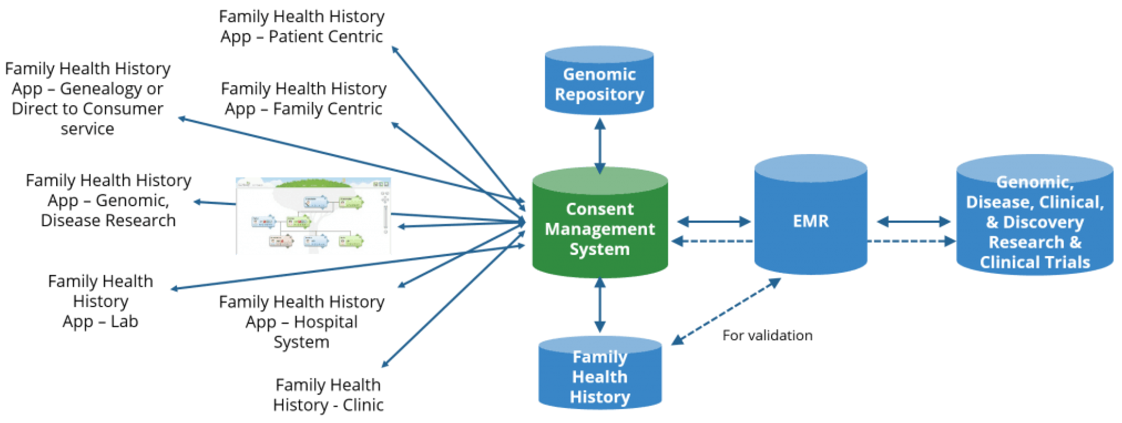 Genes 13 01407 g001 550