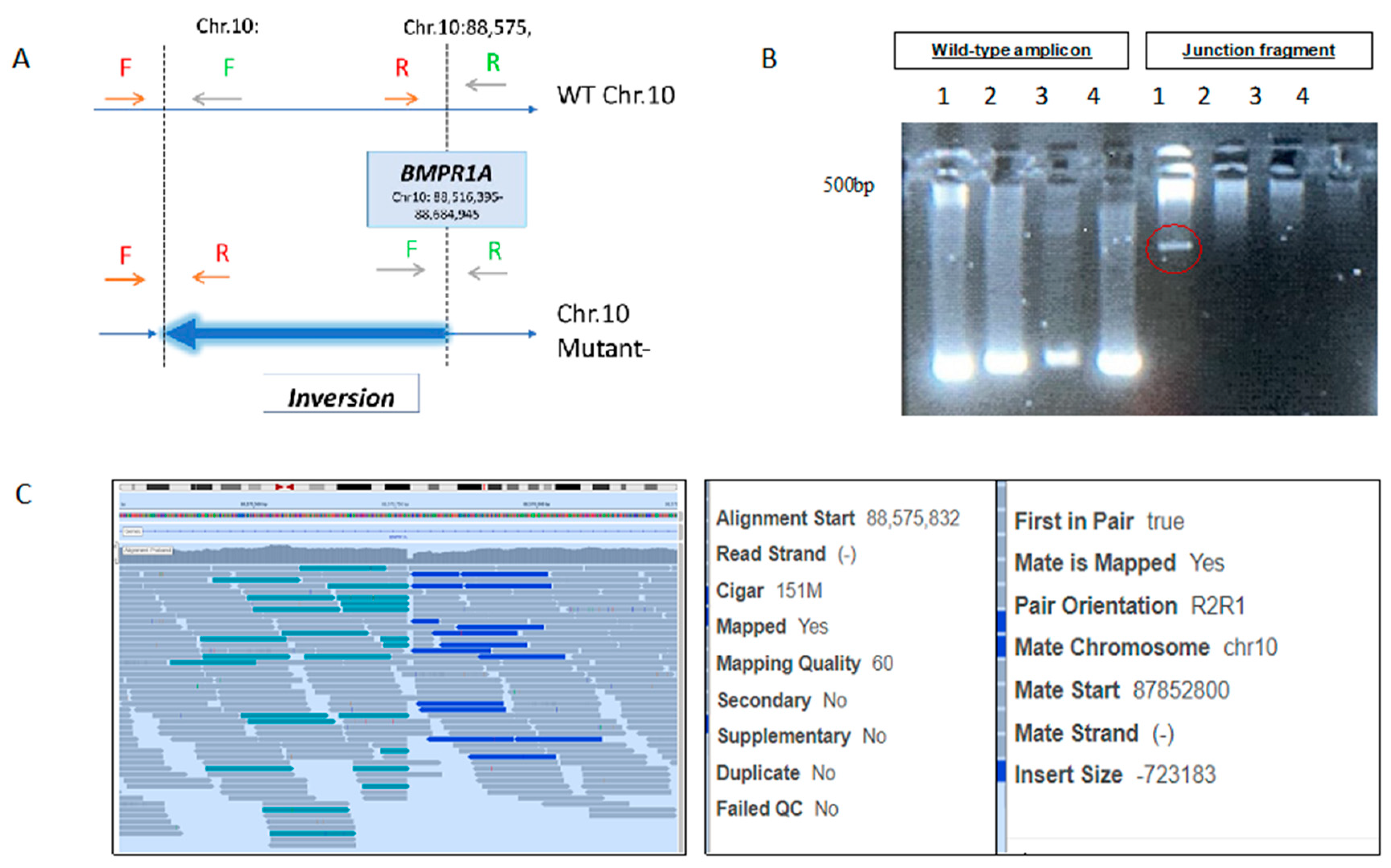 Genes 13 01408 g001 550