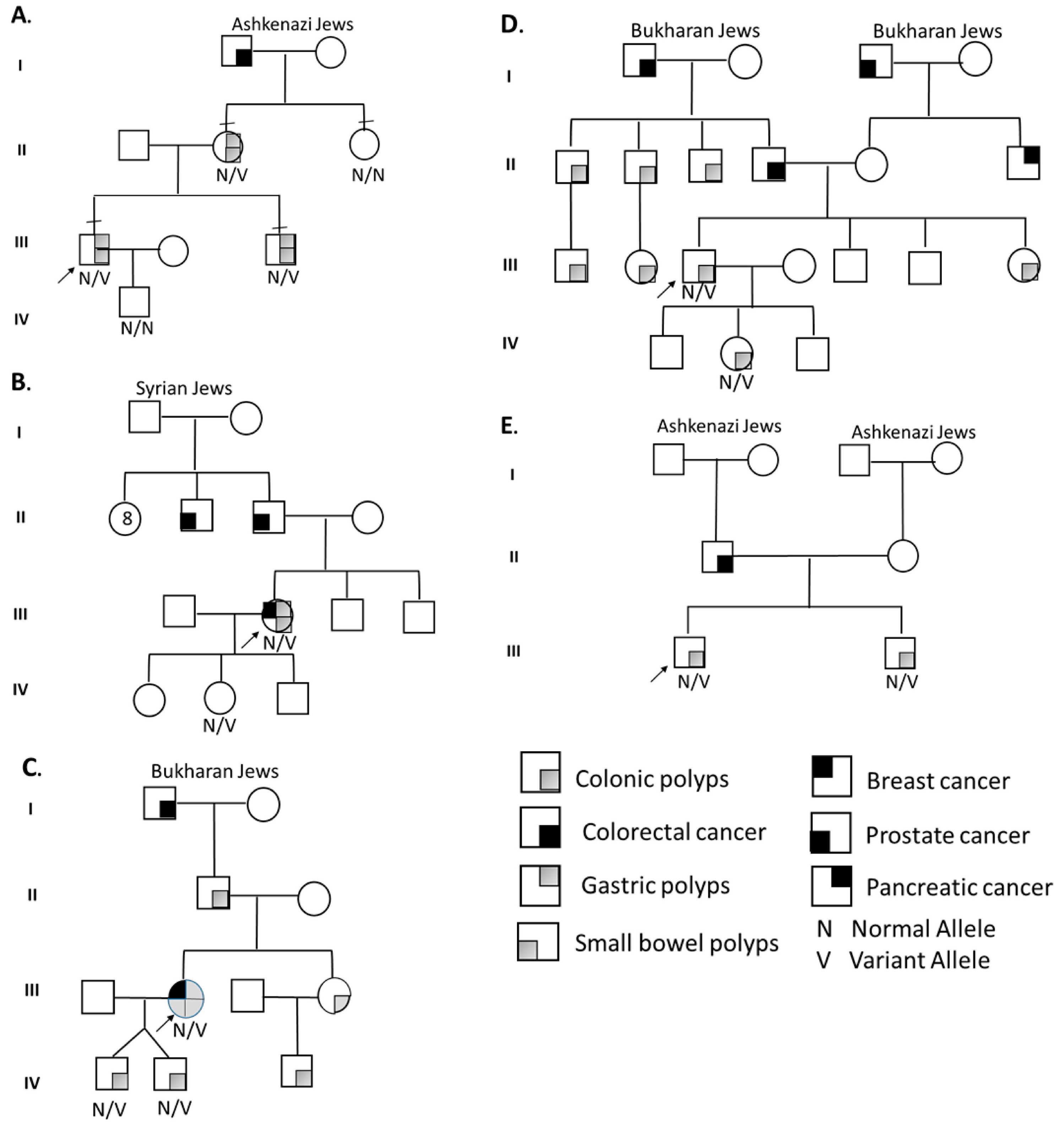 Genes 13 01408 g002 550