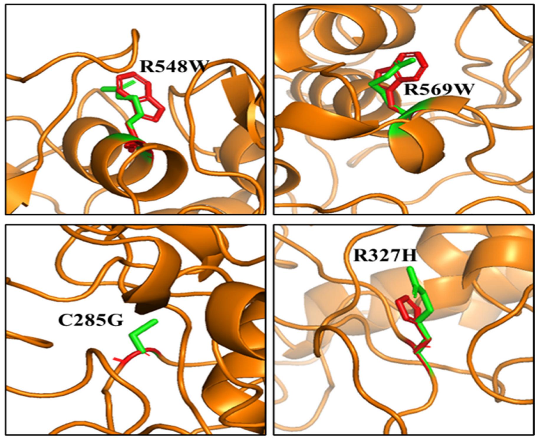 Genes 13 01412 g005 Genes 13 01412 g005