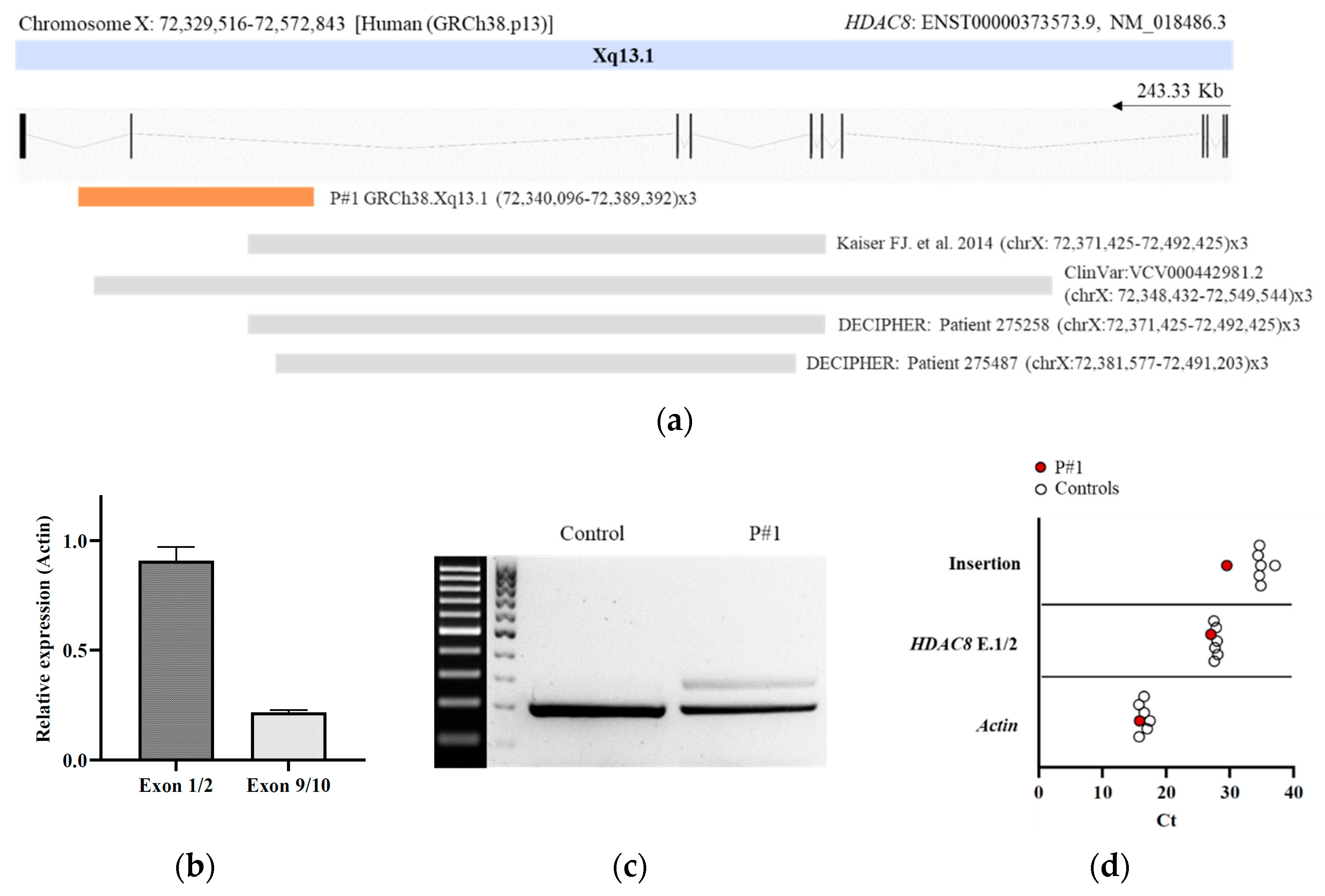 Genes 13 01413 g002