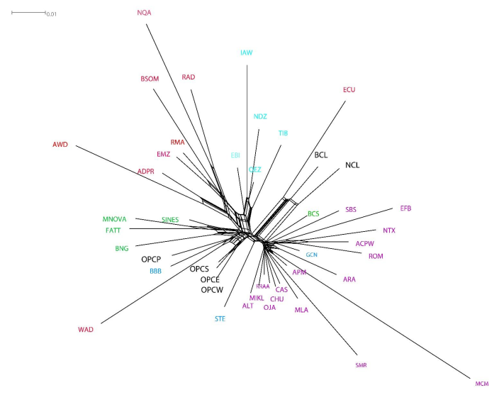 Genes 13 01415 g004 550