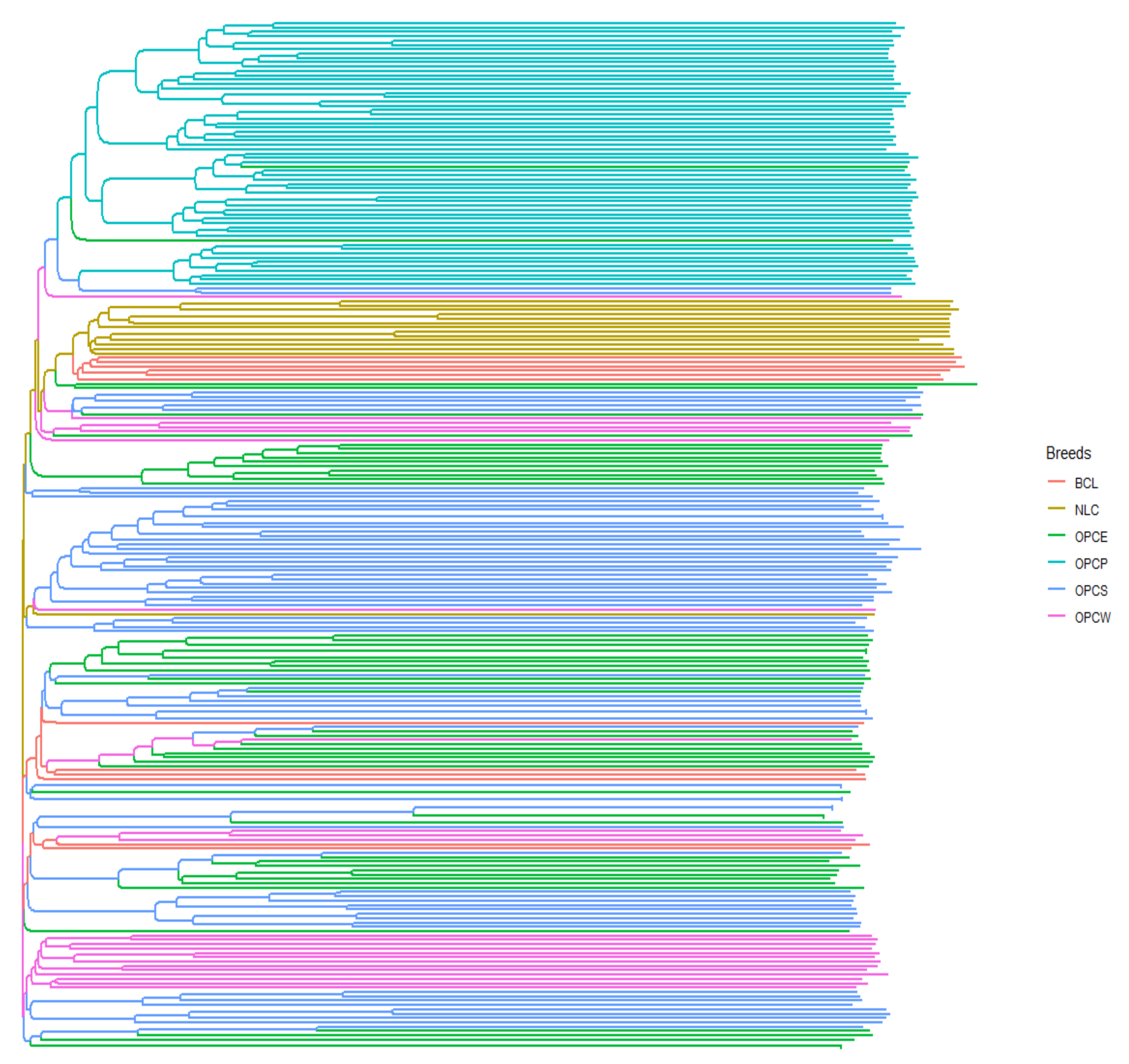 Genes 13 01415 g007 550
