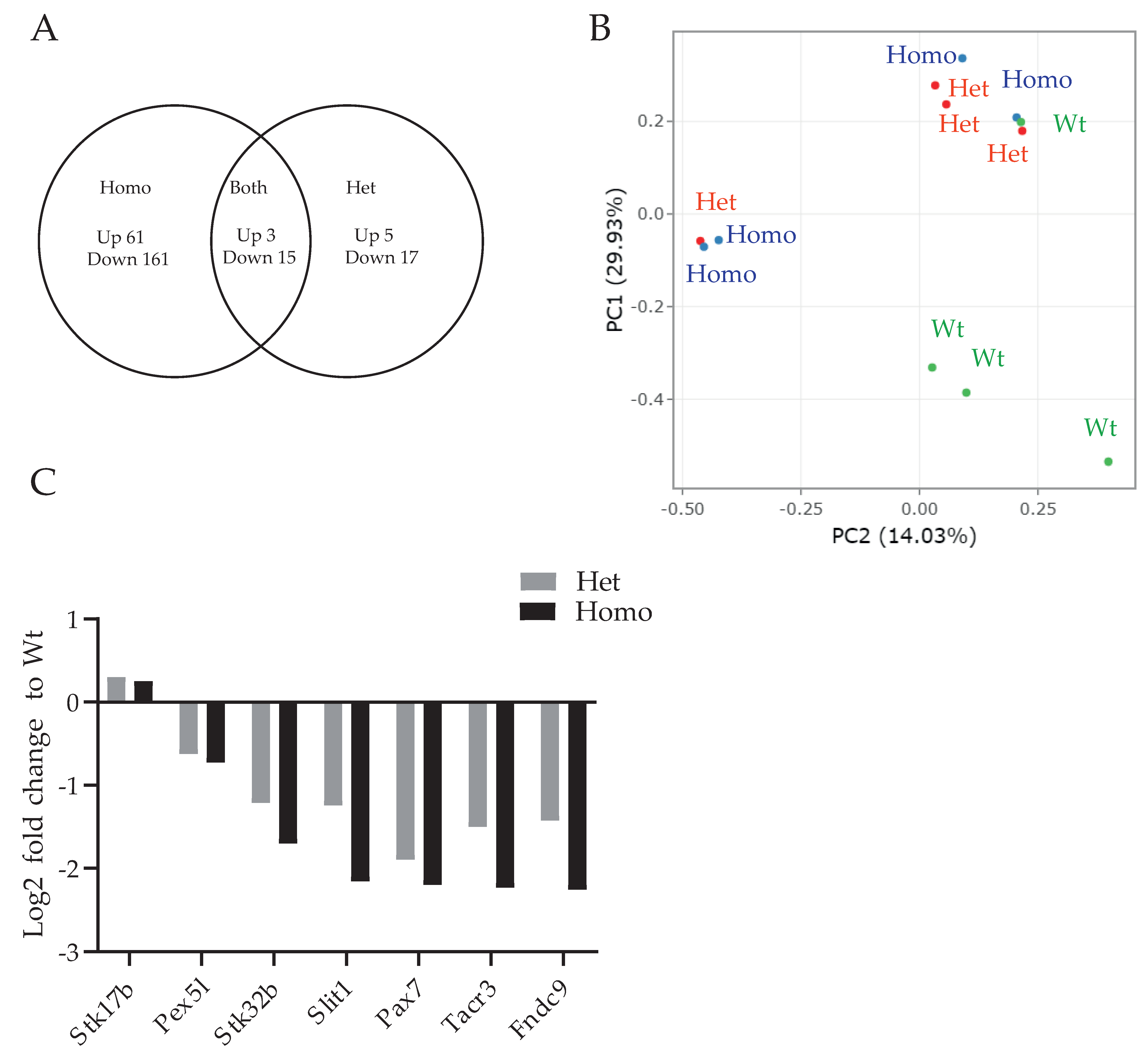 Genes 13 01417 g001 Genes 13 01417 g001