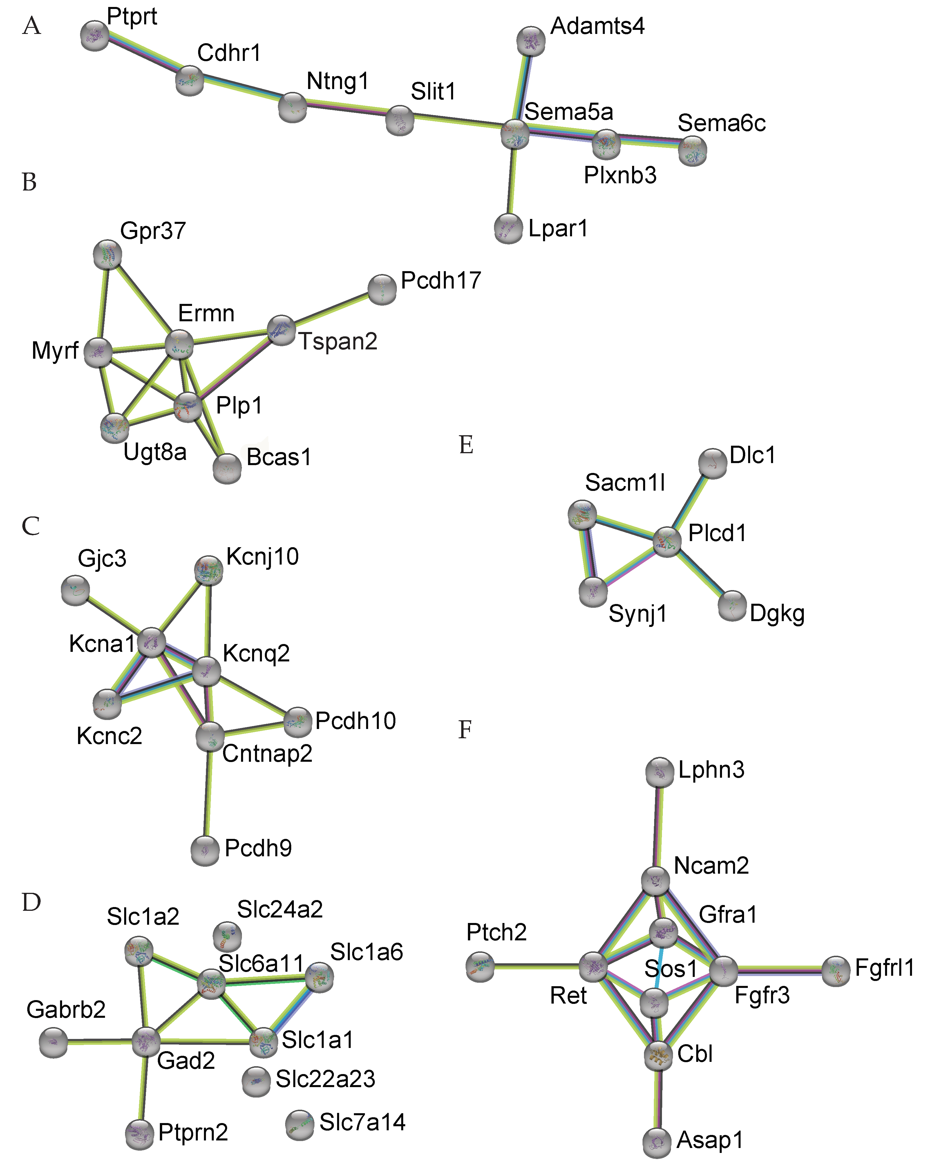 Genes 13 01417 g003 Genes 13 01417 g003