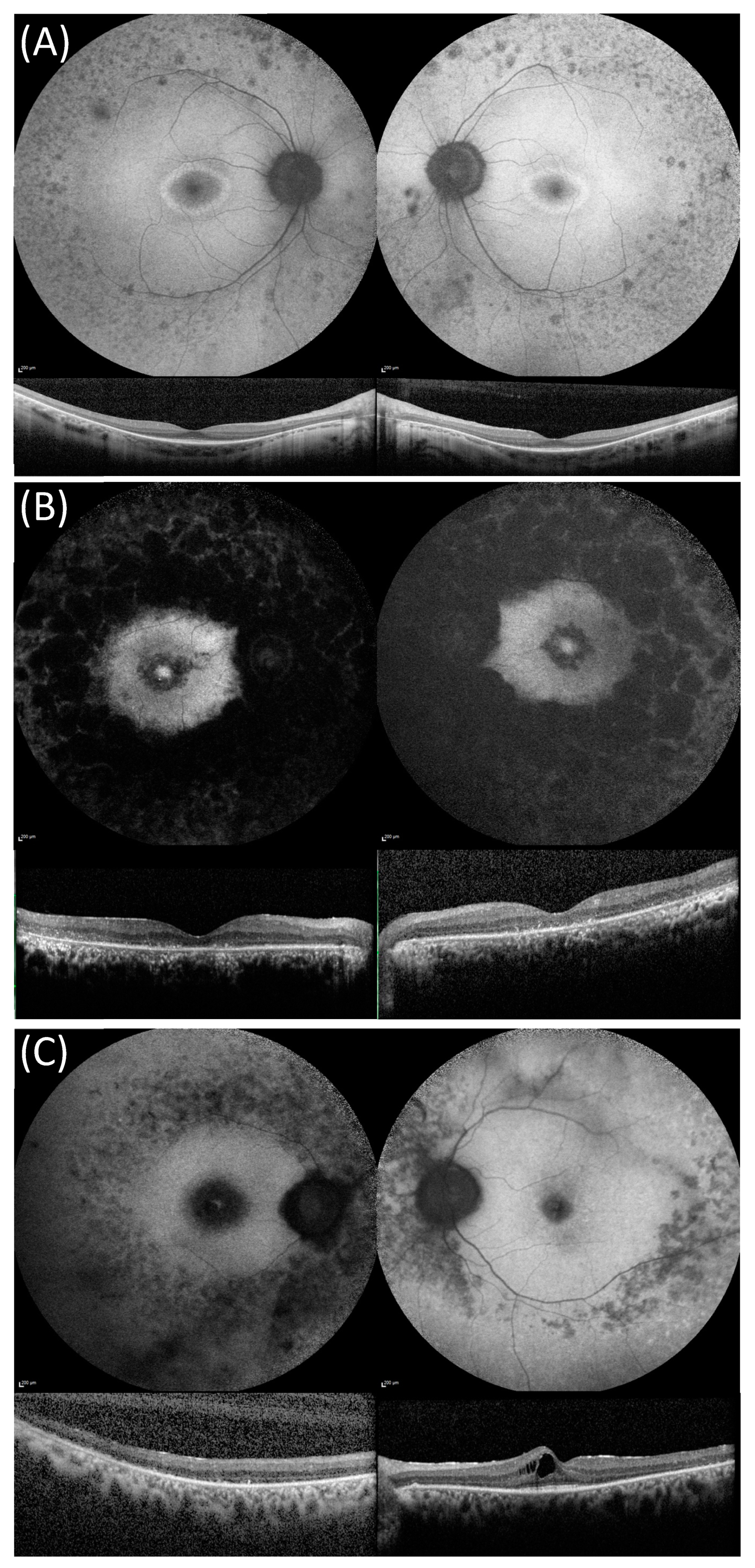 Genes 13 01423 g001 Genes 13 01423 g001