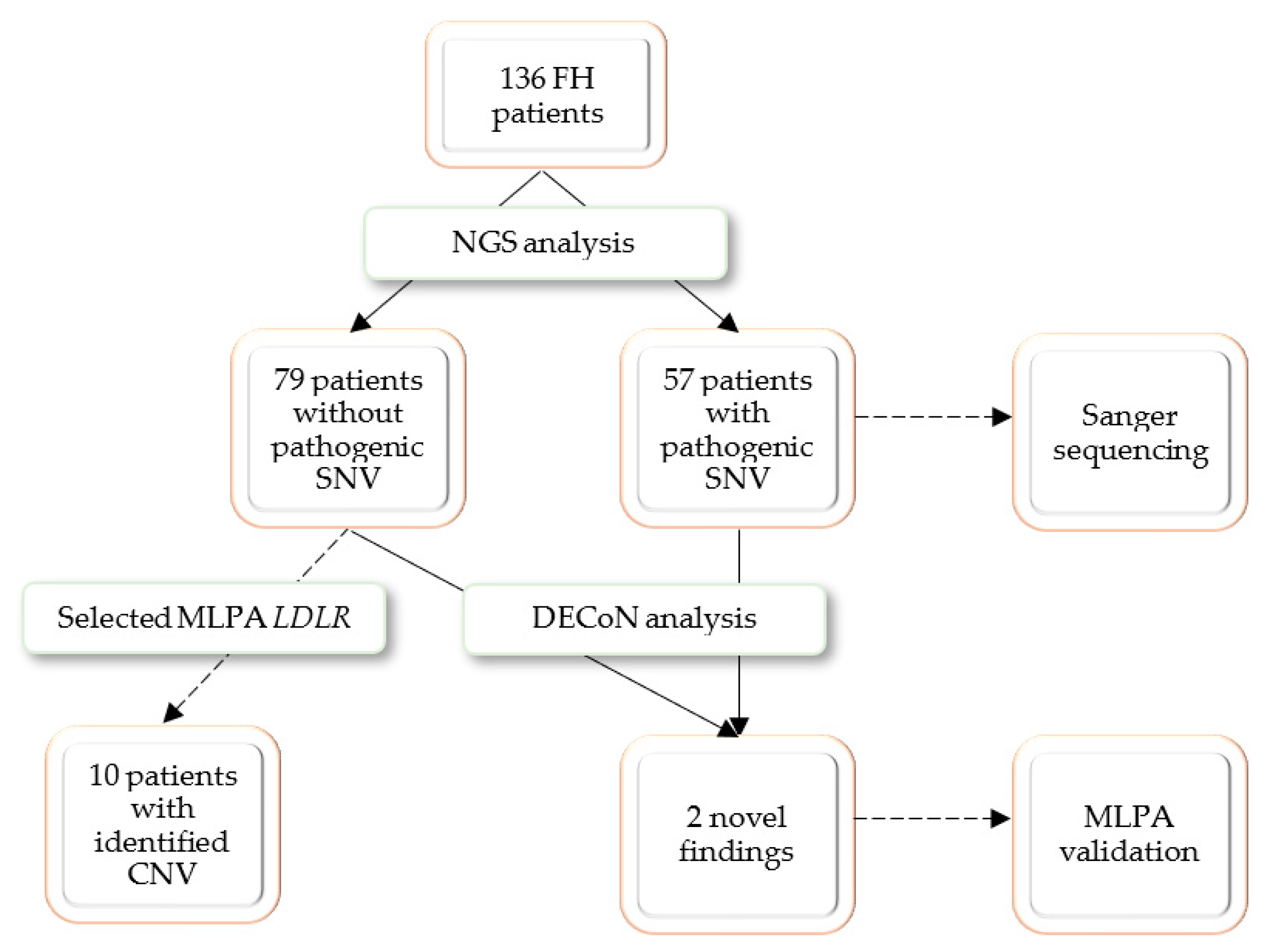 Genes 13 01424 g001 550
