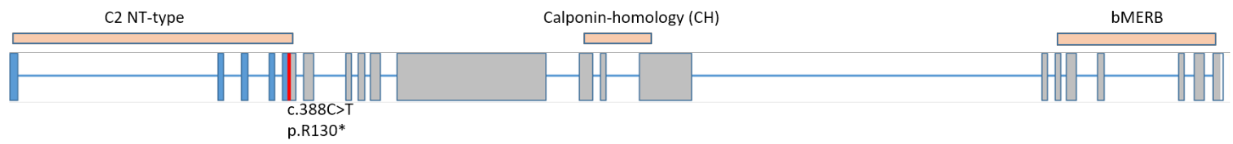 Genes 13 01427 g002 550