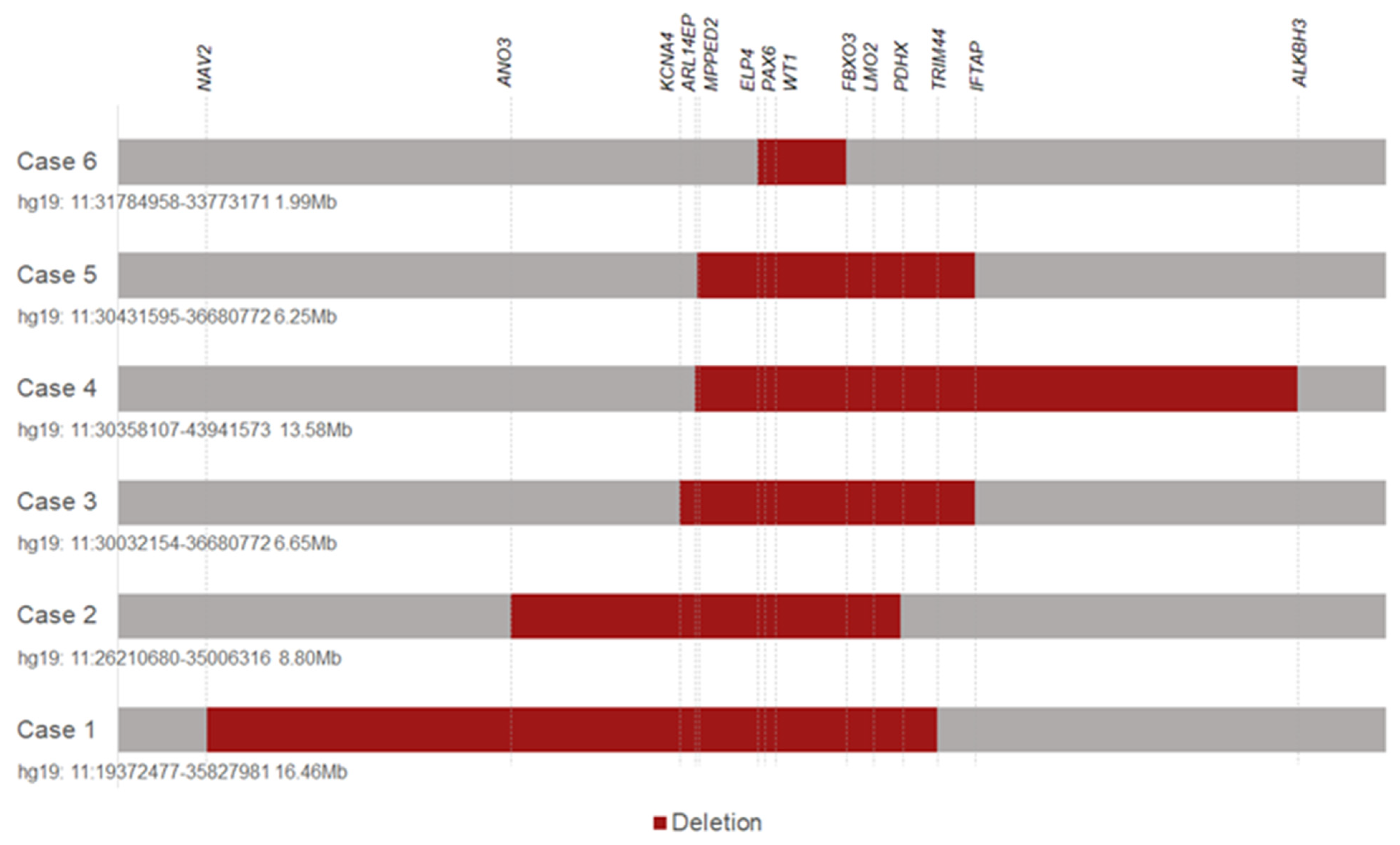 Genes 13 01431 g001 550