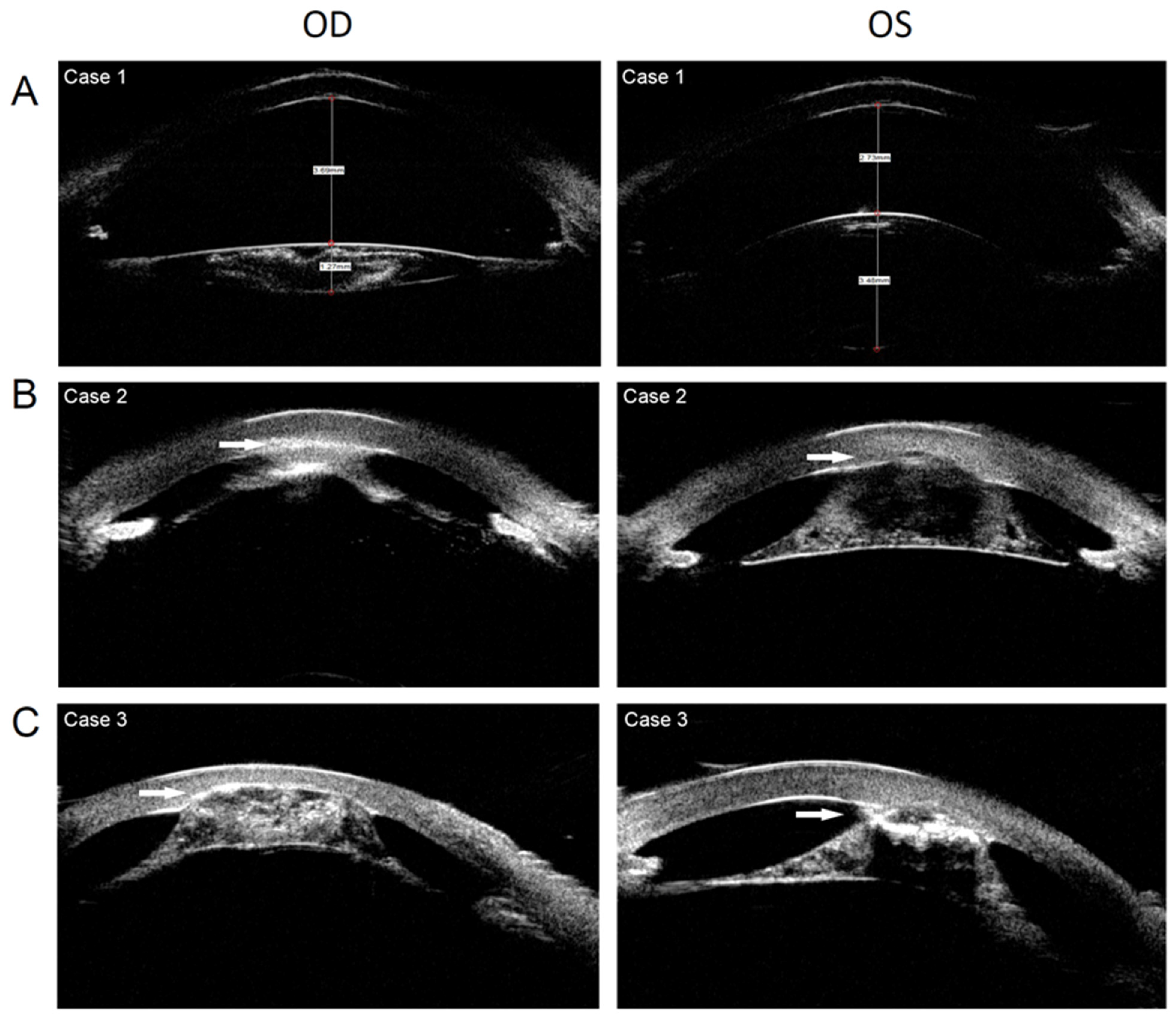 Genes 13 01431 g003 550