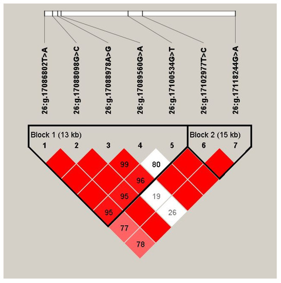 Single Nucleotide Polymorphisms of ALDH18A1 and MAT2A Genes