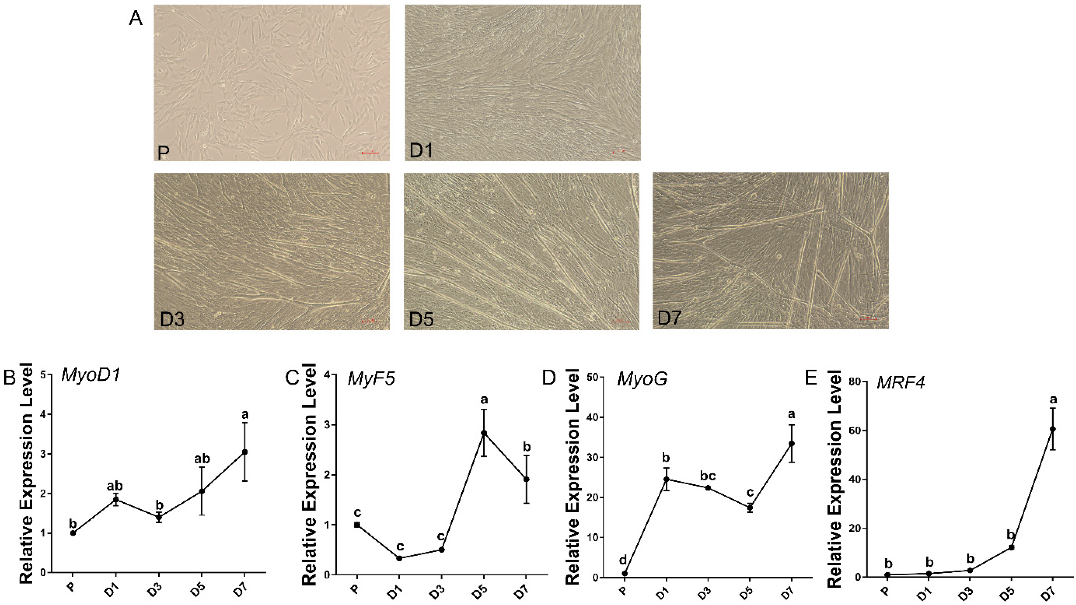 Genes 13 01438 g001 550