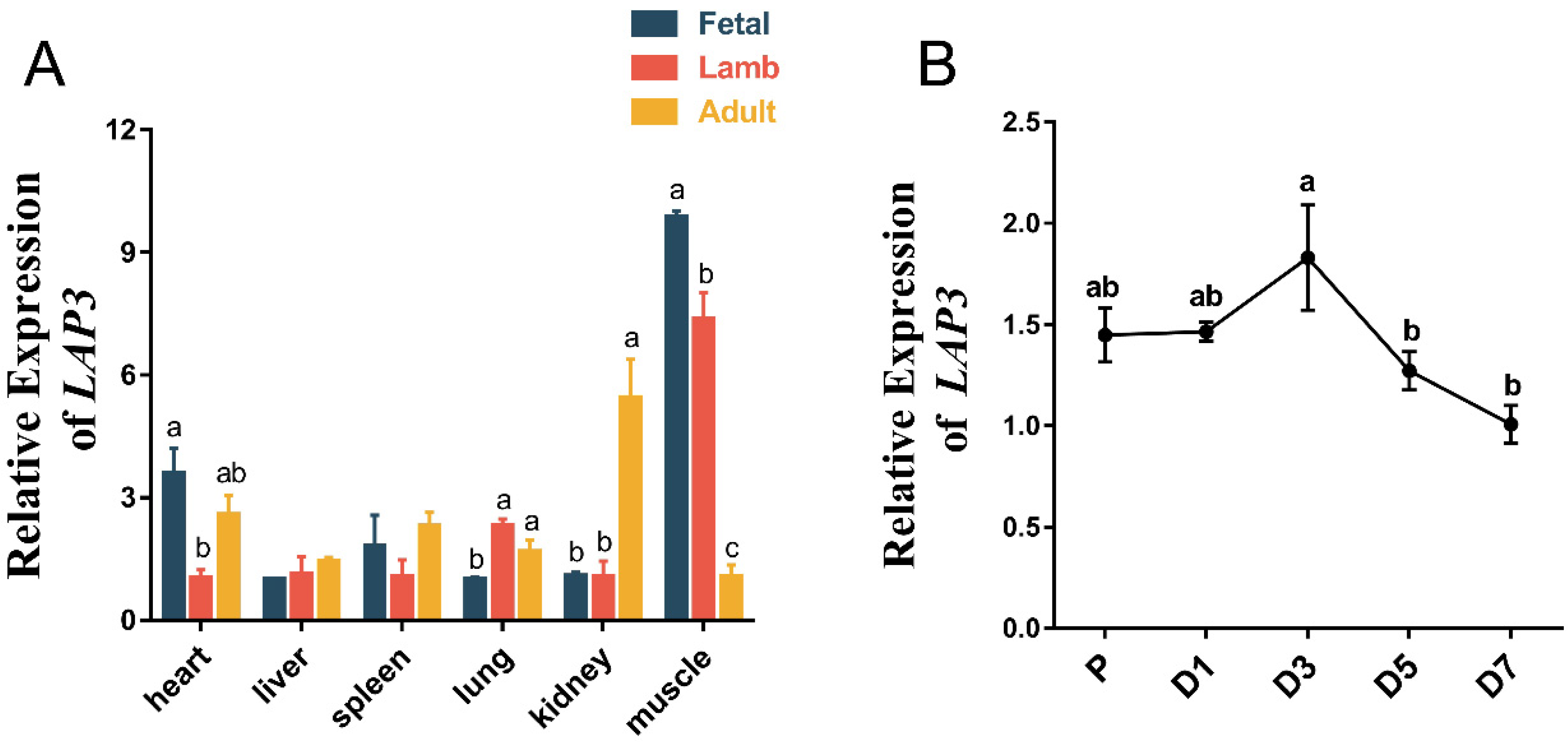 Genes 13 01438 g002 550