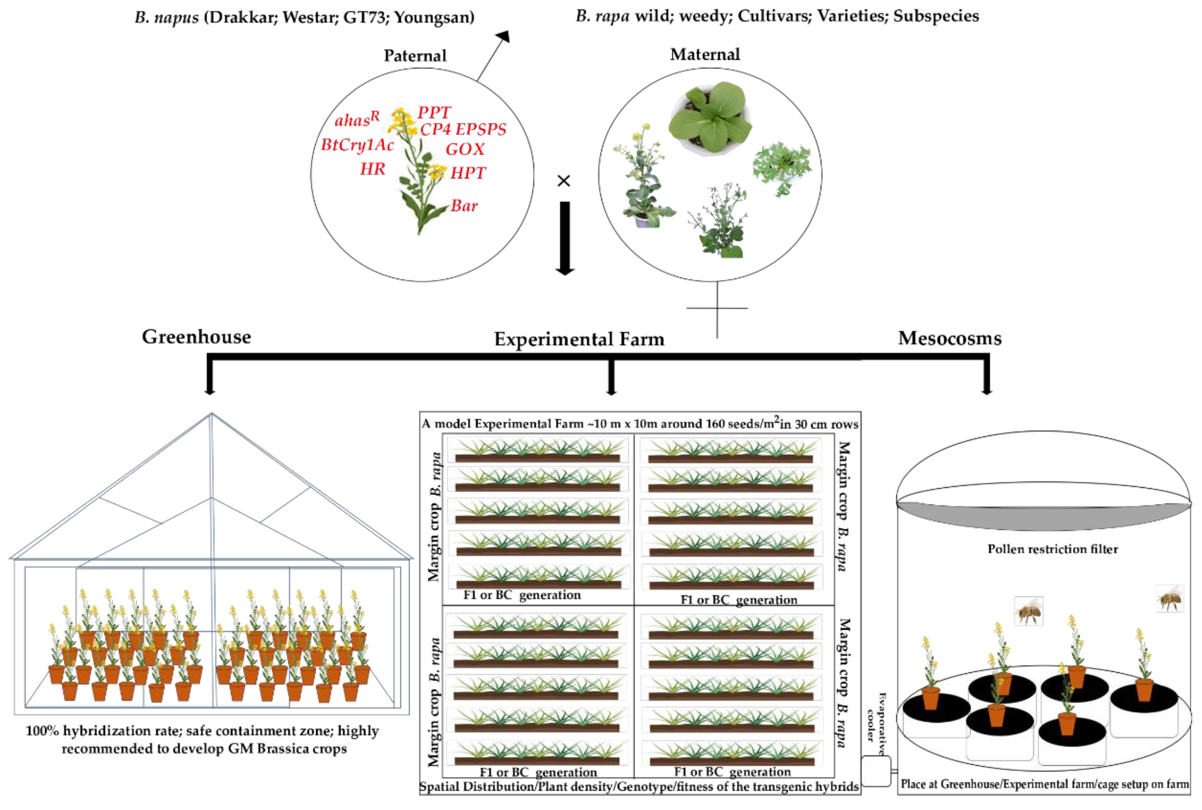 Genes 13 01442 g001 Genes 13 01442 g001