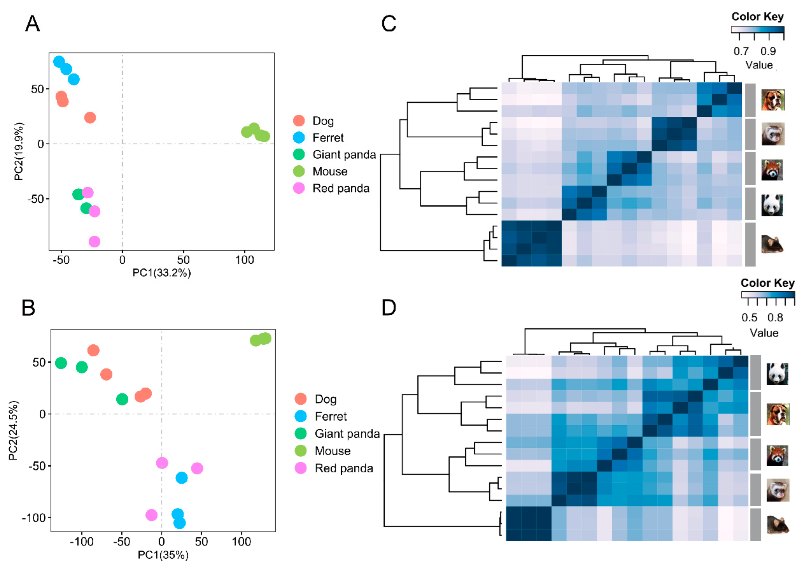 Genes 13 01446 g001 550