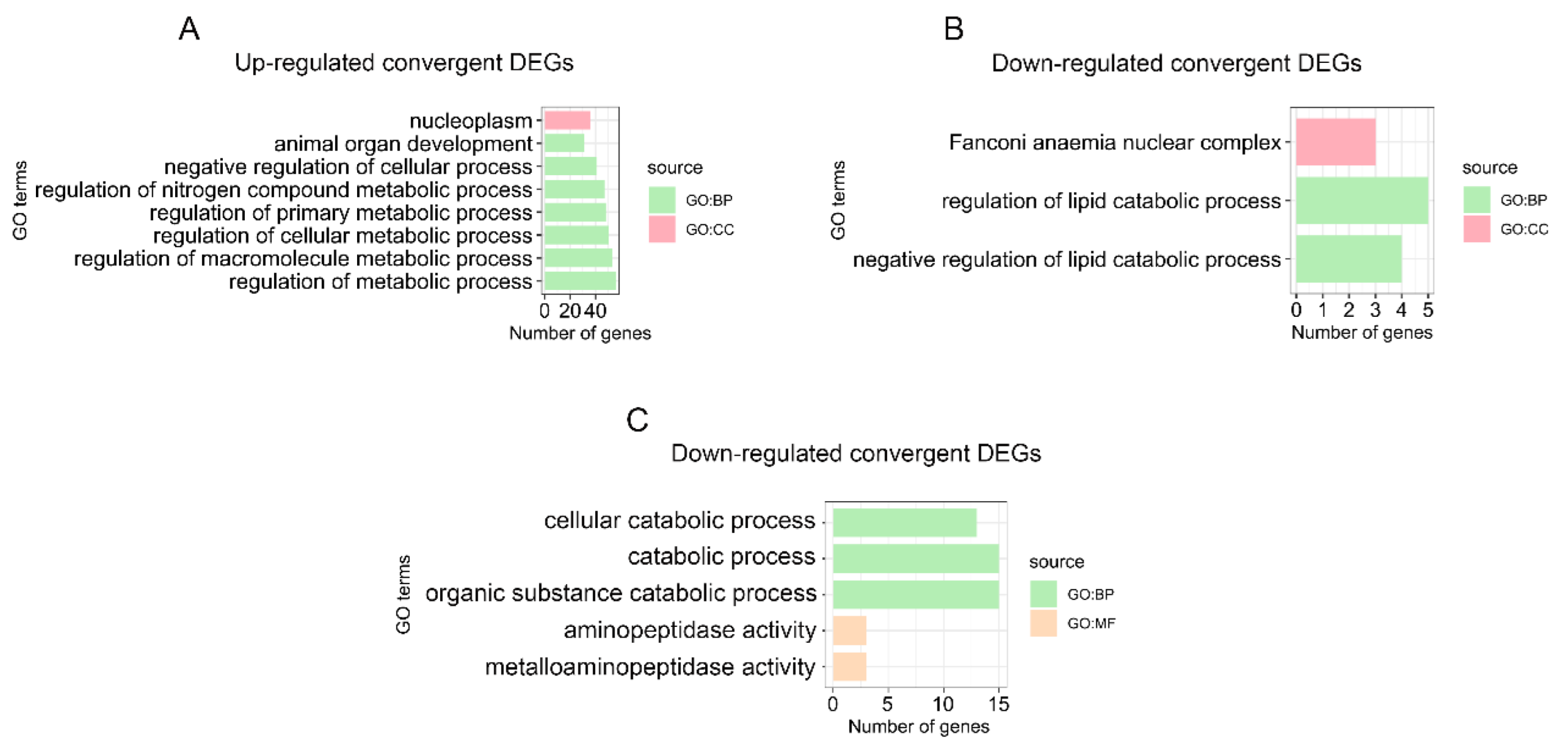 Genes 13 01446 g003 550