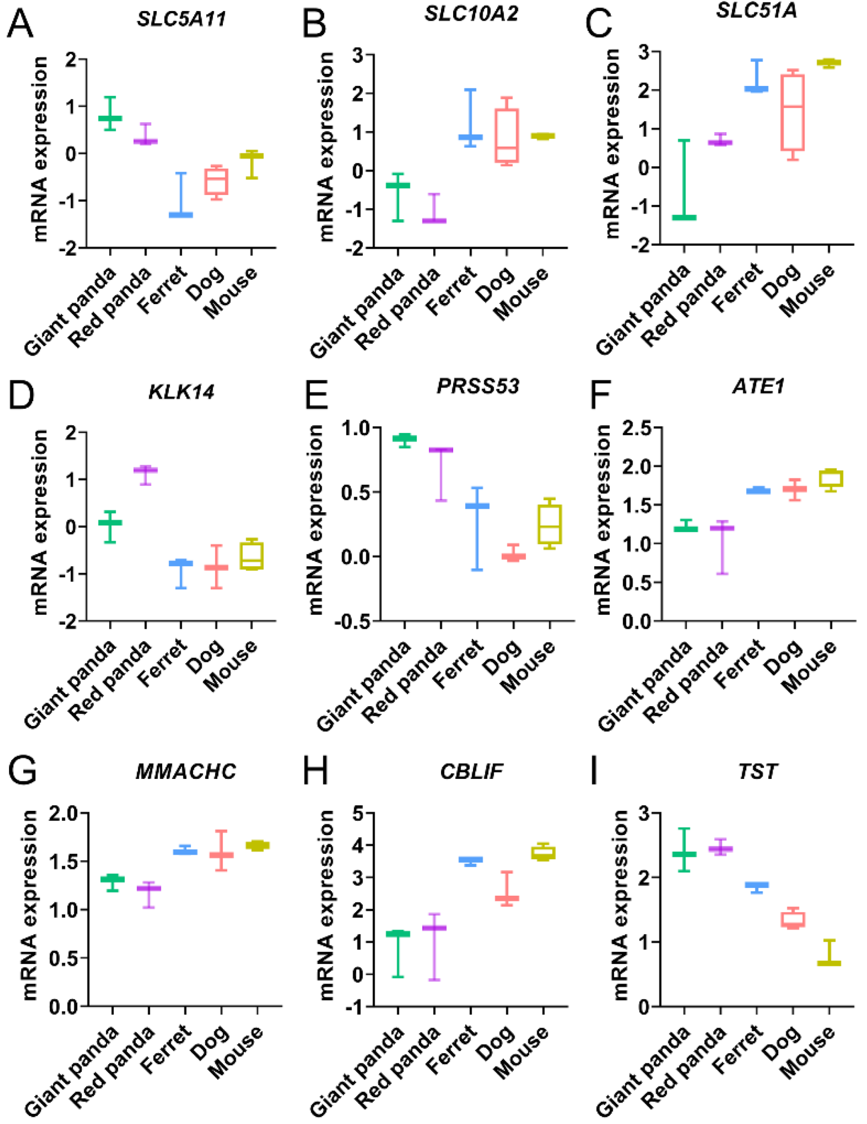 Genes 13 01446 g004 550