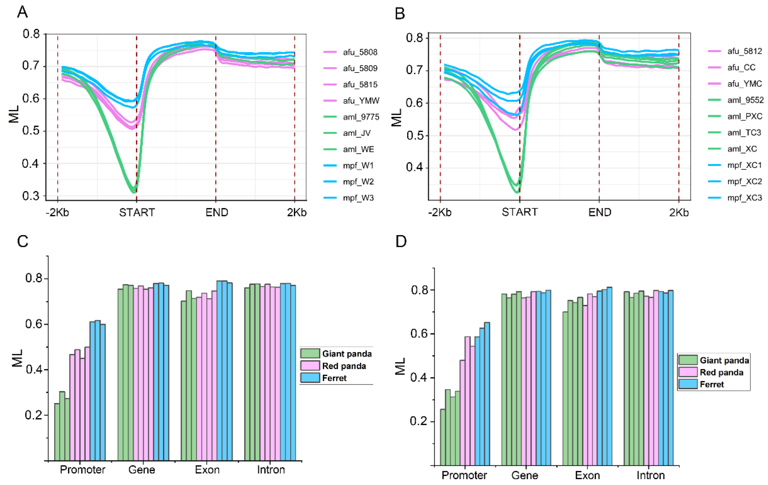 Genes 13 01446 g006 550
