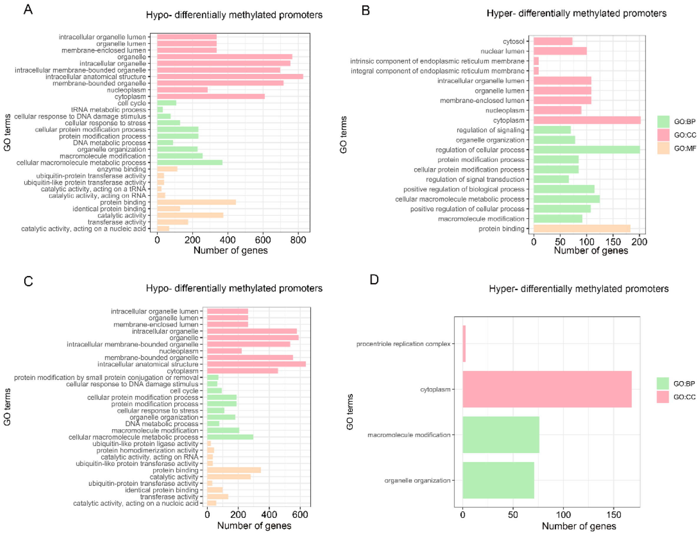 Genes 13 01446 g007 550