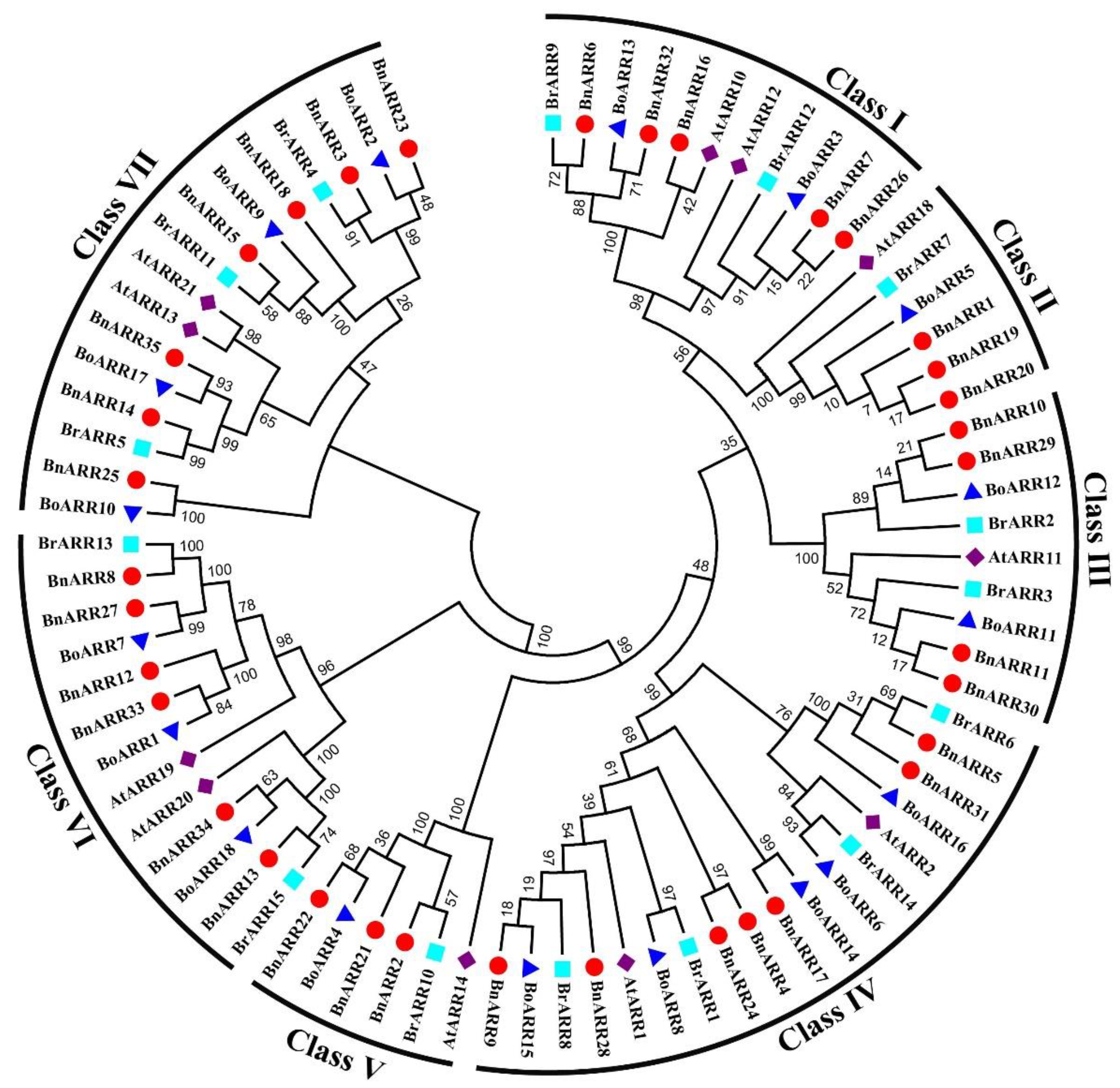 Genes 13 01449 g002