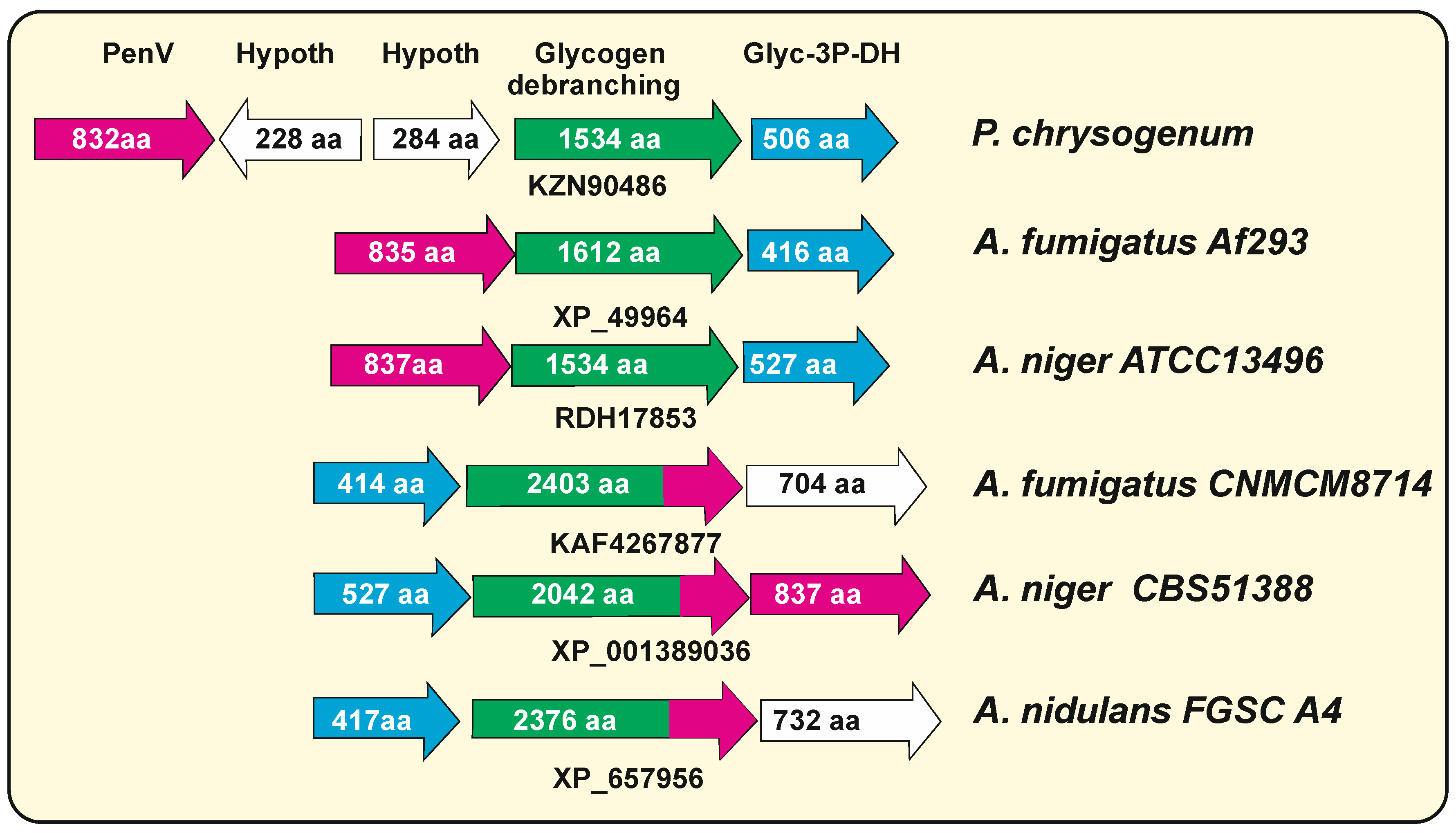 Genes 13 01450 g003