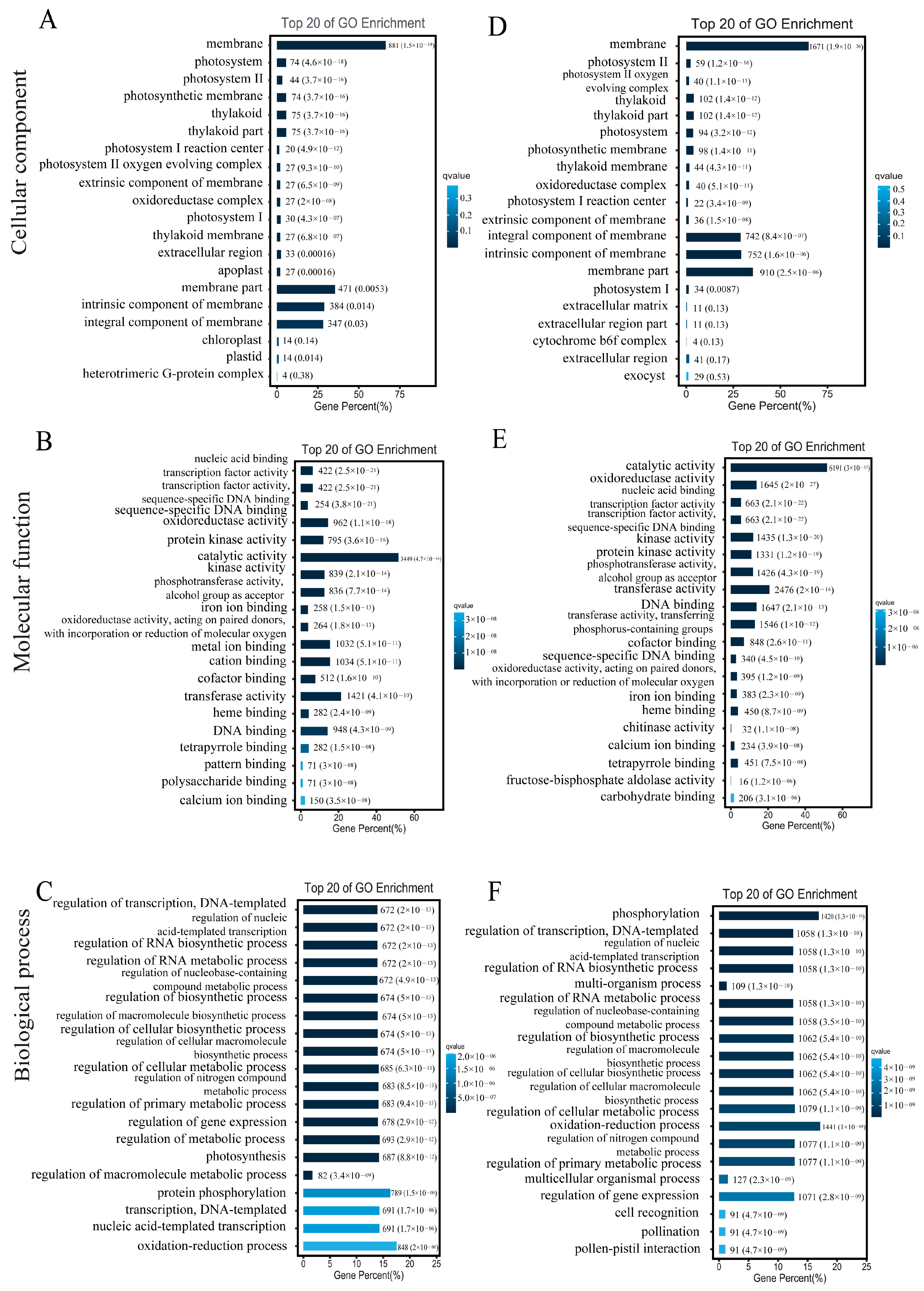 Genes 13 01452 g006