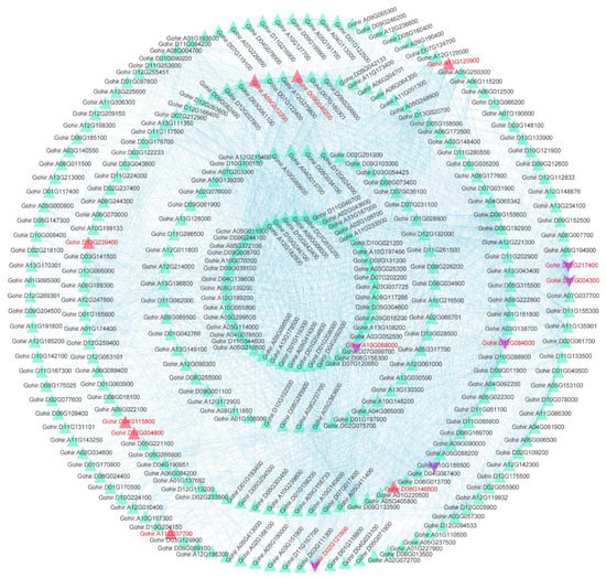 Comparative Transcriptome Analysis Reveals Genes Associated