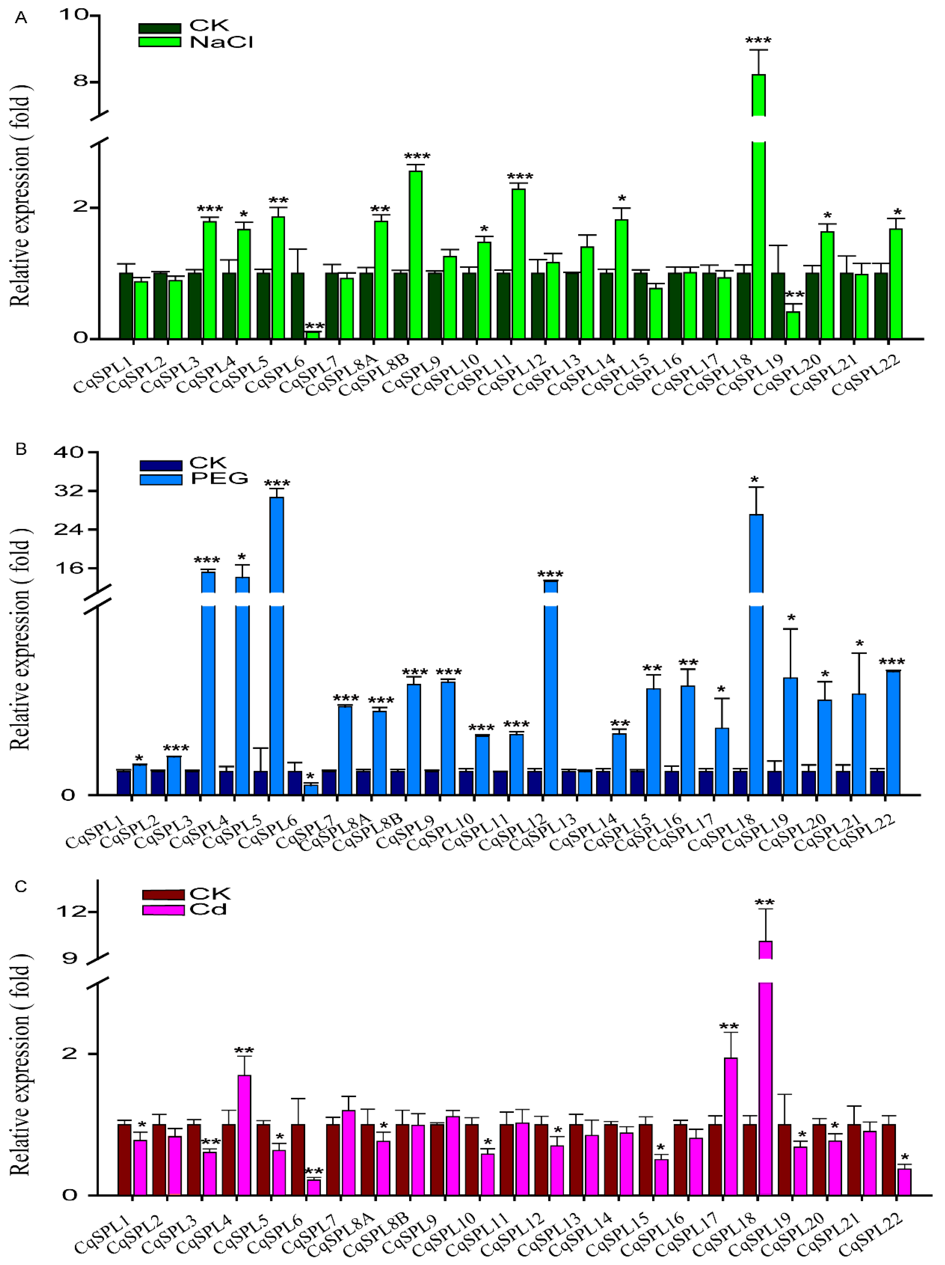 Genes 13 01455 g011