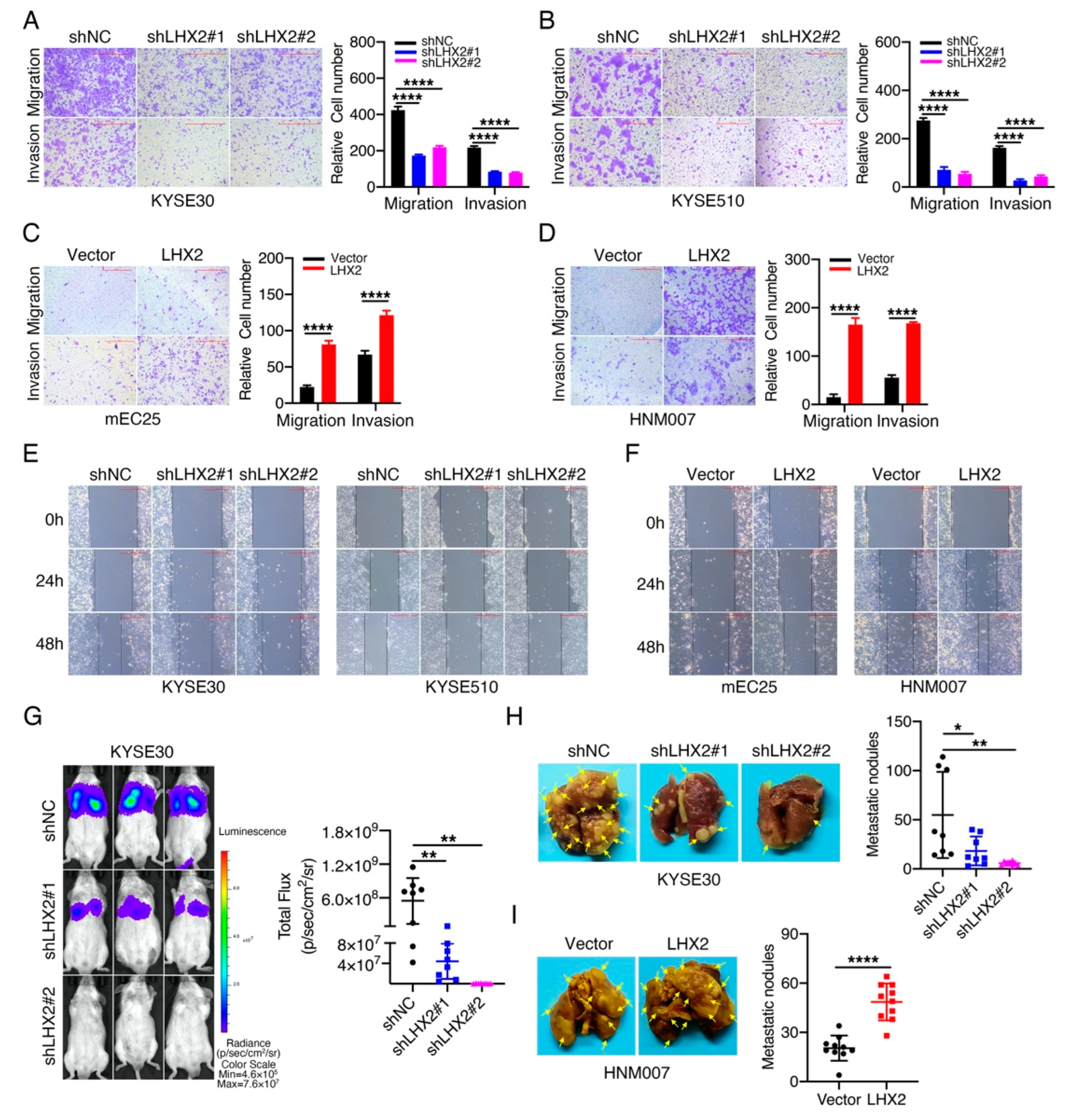 Genes 13 01457 g003 Genes 13 01457 g003