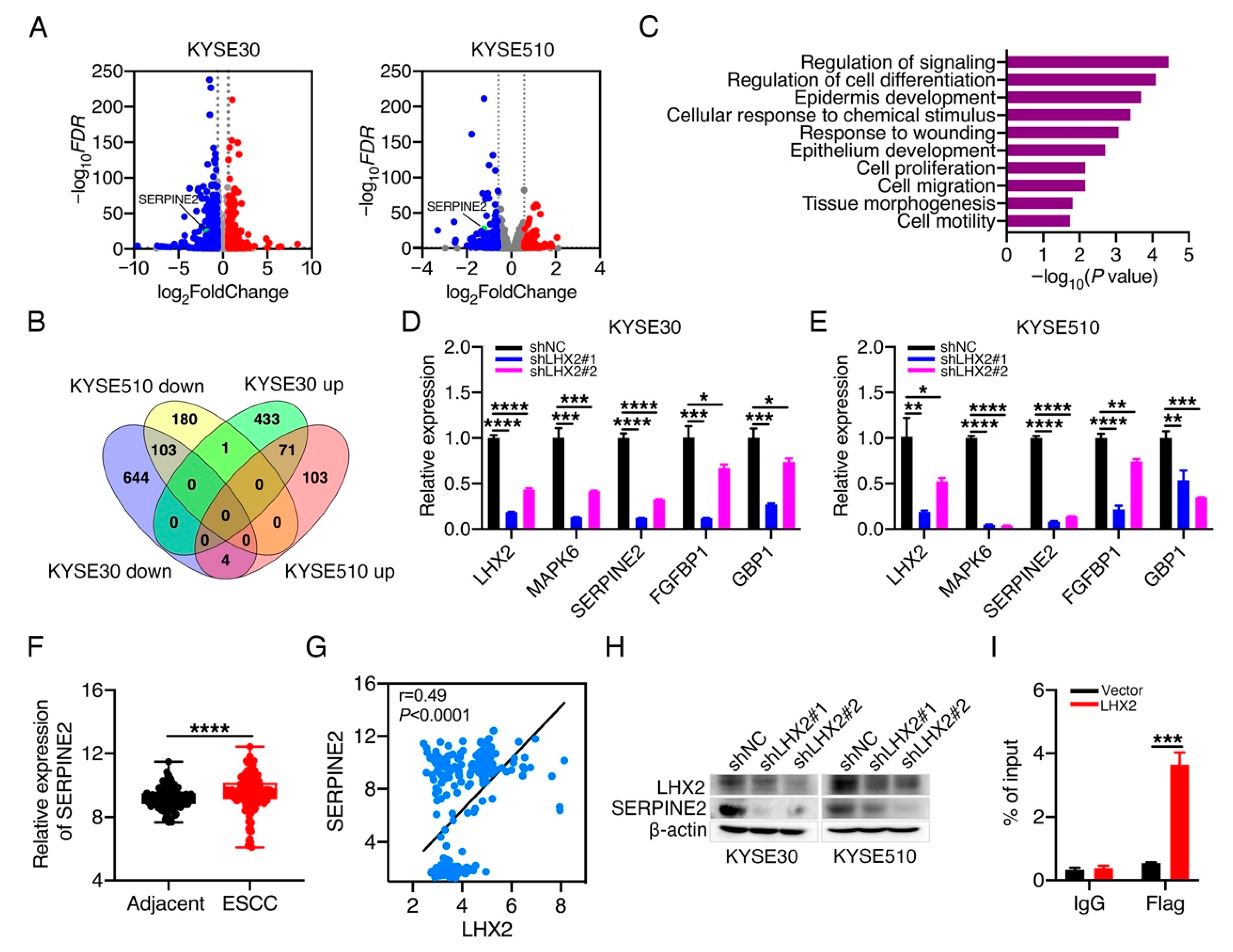 Genes 13 01457 g004 Genes 13 01457 g004