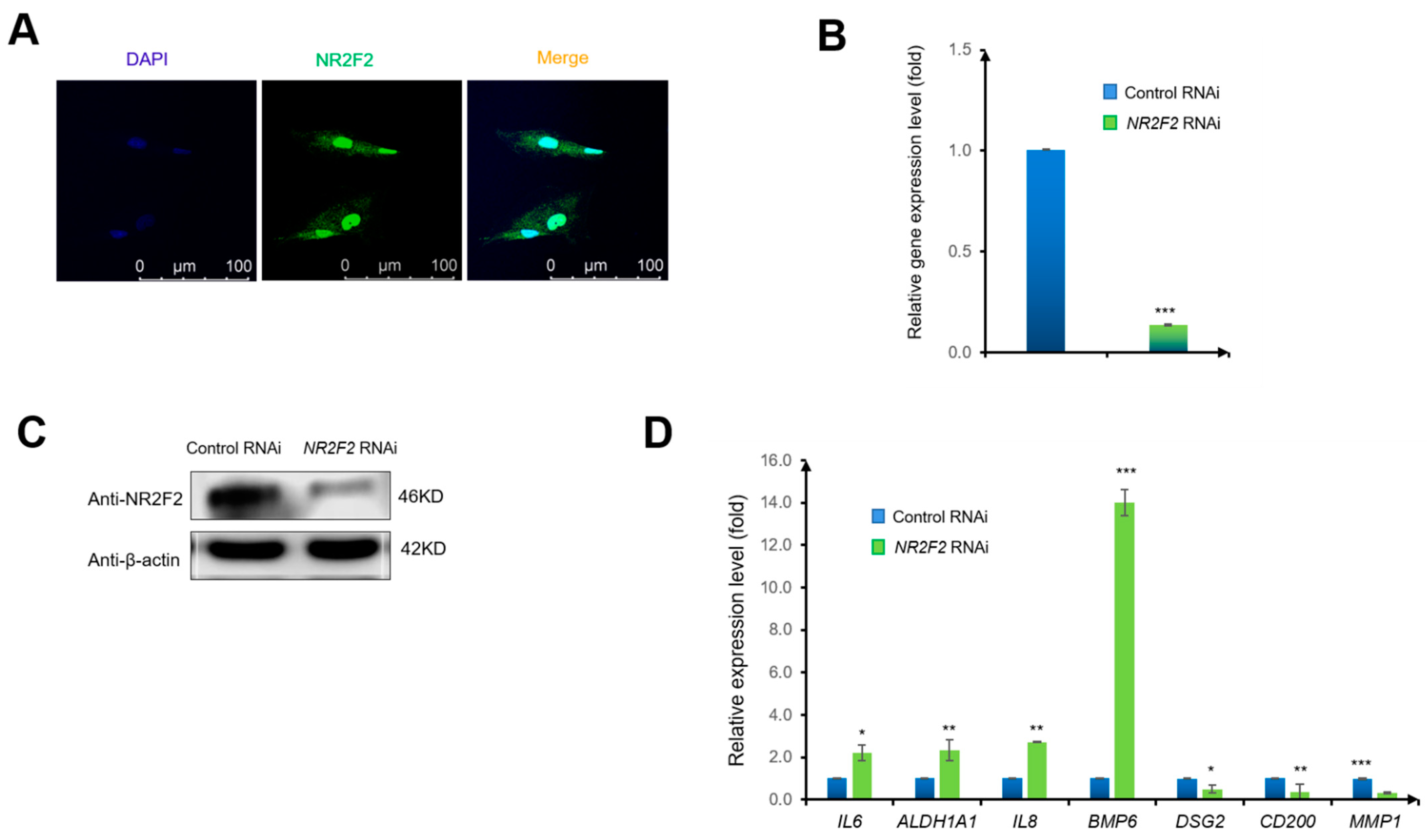 Genes 13 01458 g001