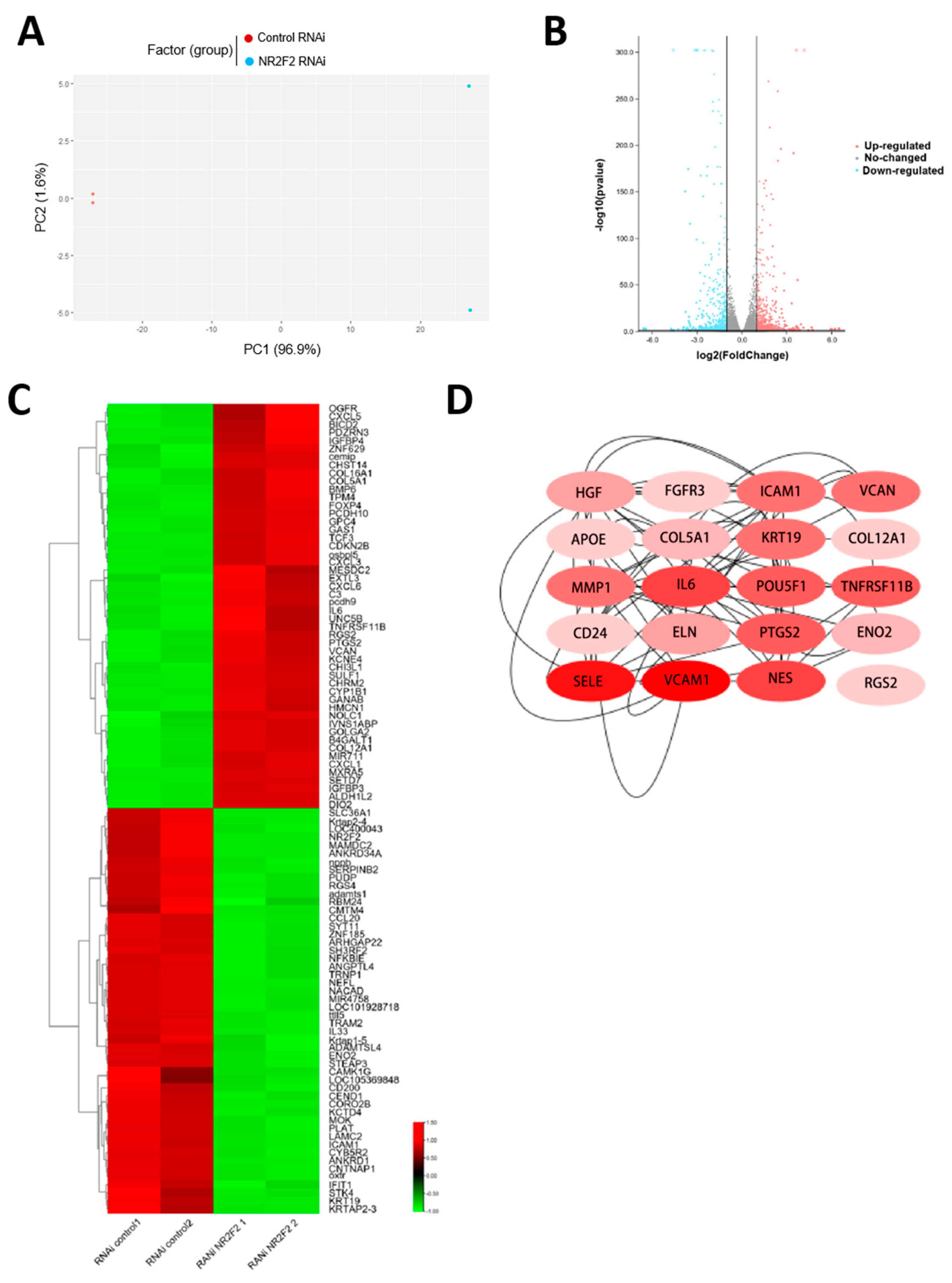 Genes 13 01458 g002