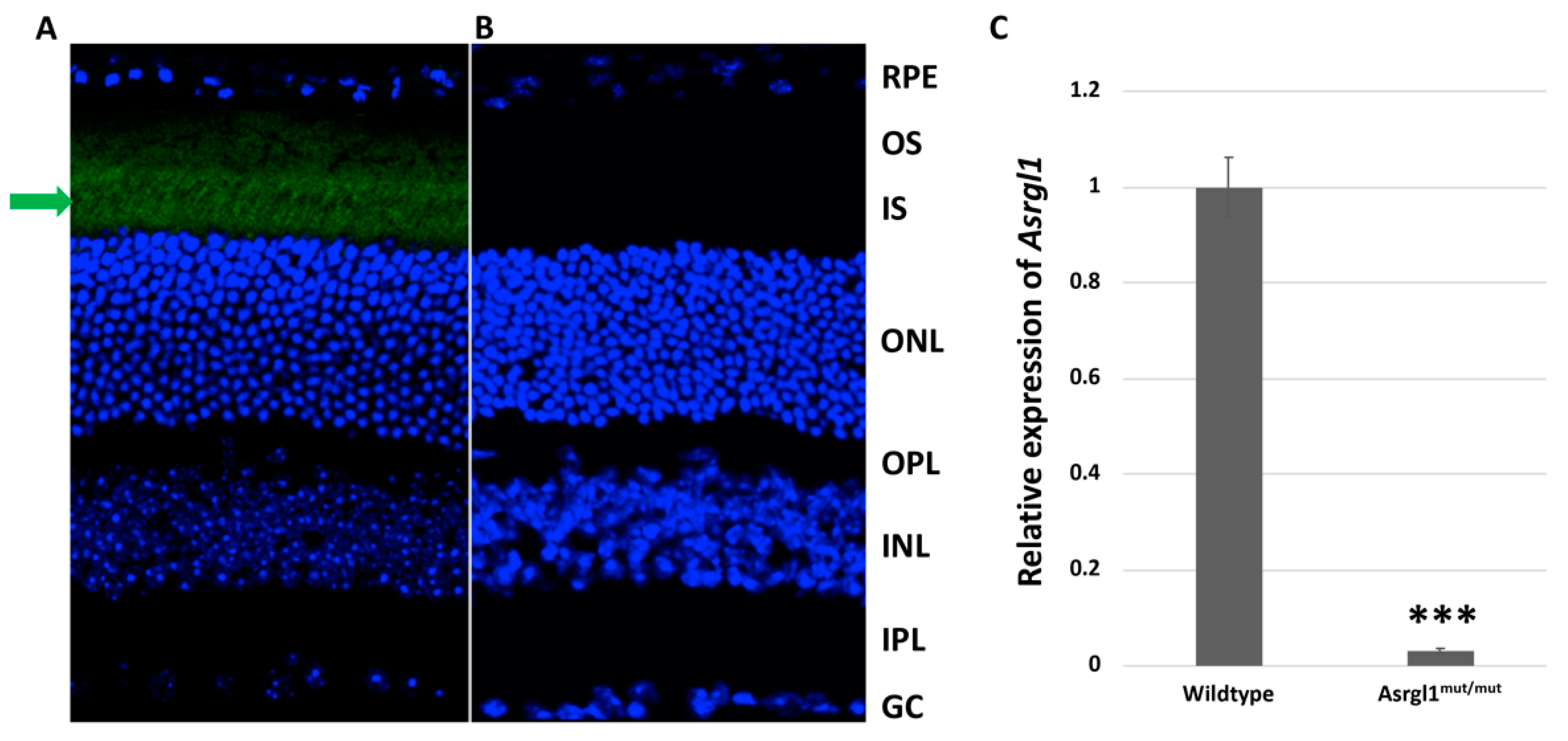 Genes 13 01461 g004 Genes 13 01461 g004