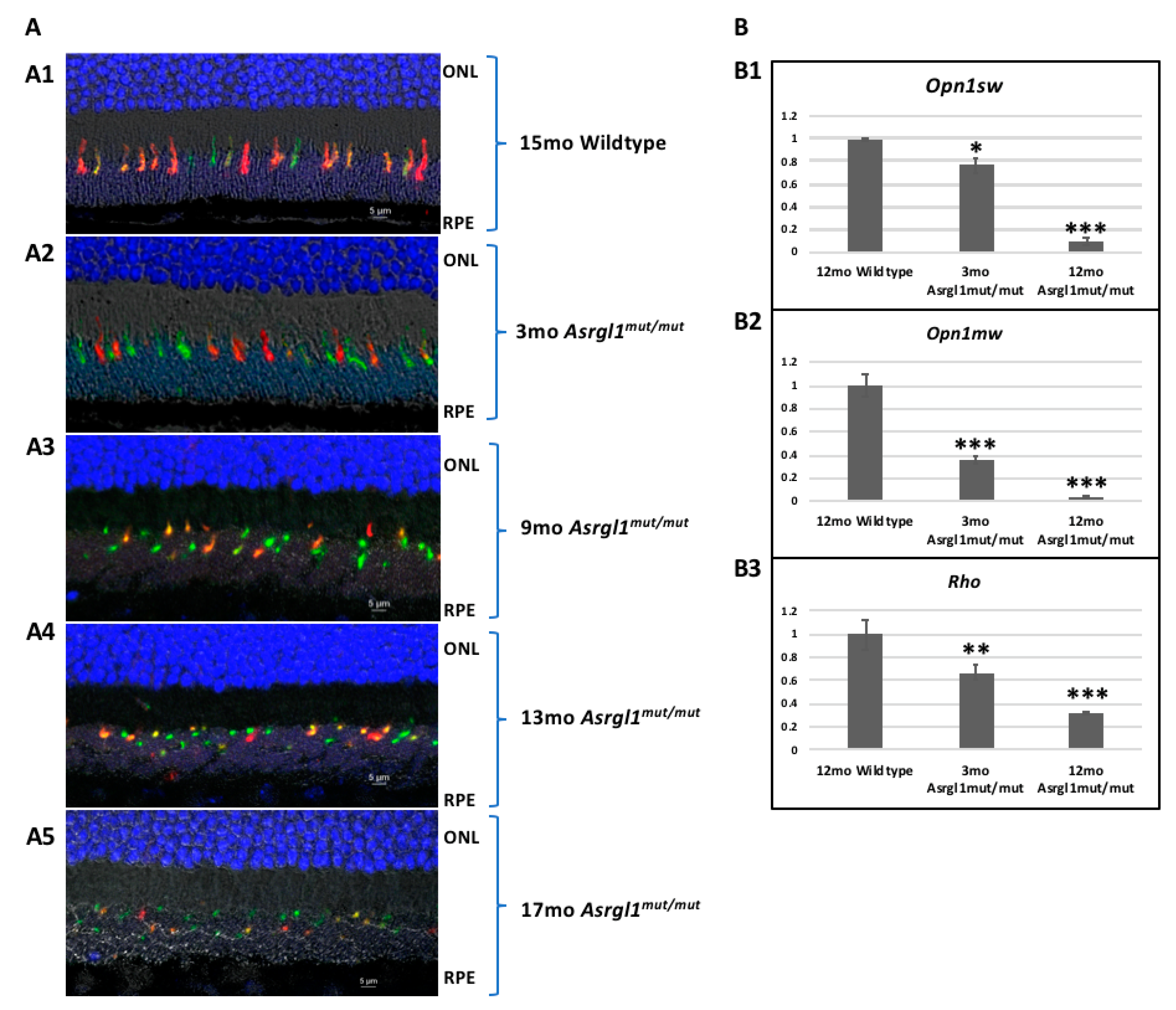 Genes 13 01461 g005 Genes 13 01461 g005